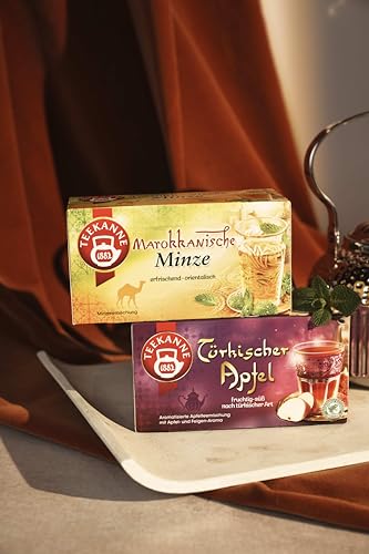 TEEKANNE Ländertee Collection Box 180 Teebeutel (387g) – 12 Sorten Weltreise Tee Set – Früchtetee, Kräutertee, Grüner Tee & Chai – Geschenkbox Tee, Geschenkbox für Teeliebhaber, Vielfalt, Probierpaket