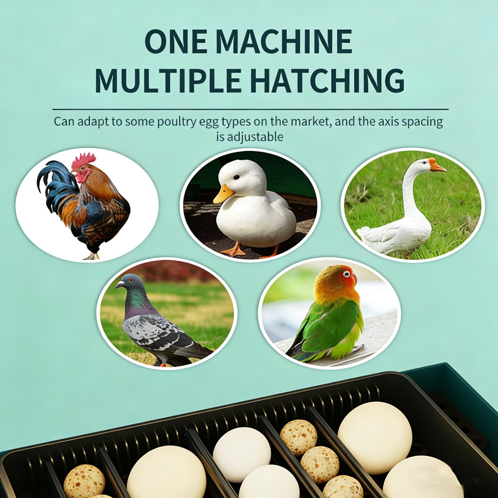 Incubadora De Huevos Con Giratrice Automatica E Controllo Dell'umidità - 10 Graziose Incubatrici A Forma Di Casetta Con Finestra Di Visualizzazione Per La Cova Di Pollo, Anatra E Uova Di Quaglia
