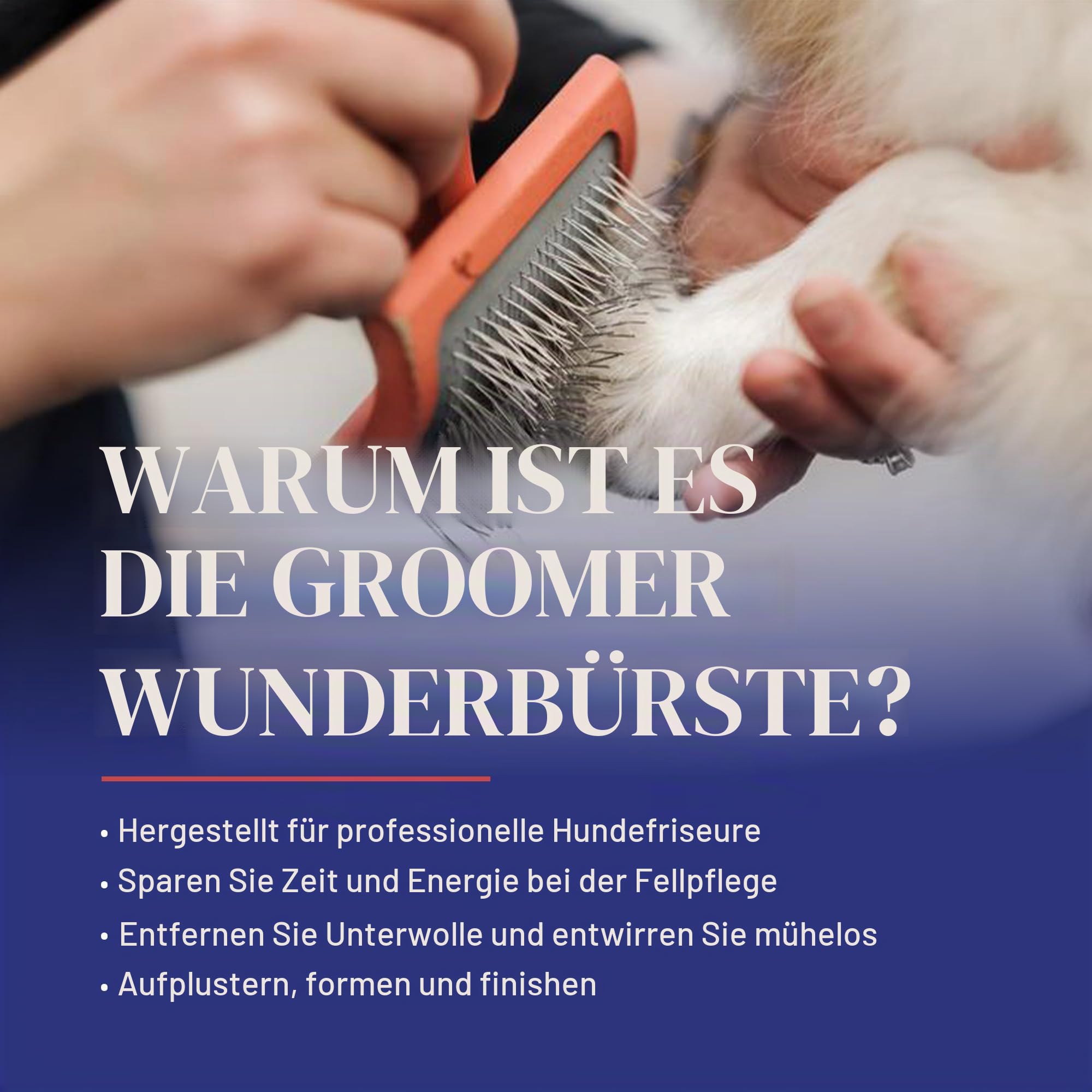 Chris Christensen Big G Coral Slicker Bürste, Pflegen wie ein Profi, Fluff Entwirrung Stil, spart Zeit & Energie, Medium, für Haustiere, perfekt für Hunde & Katzen