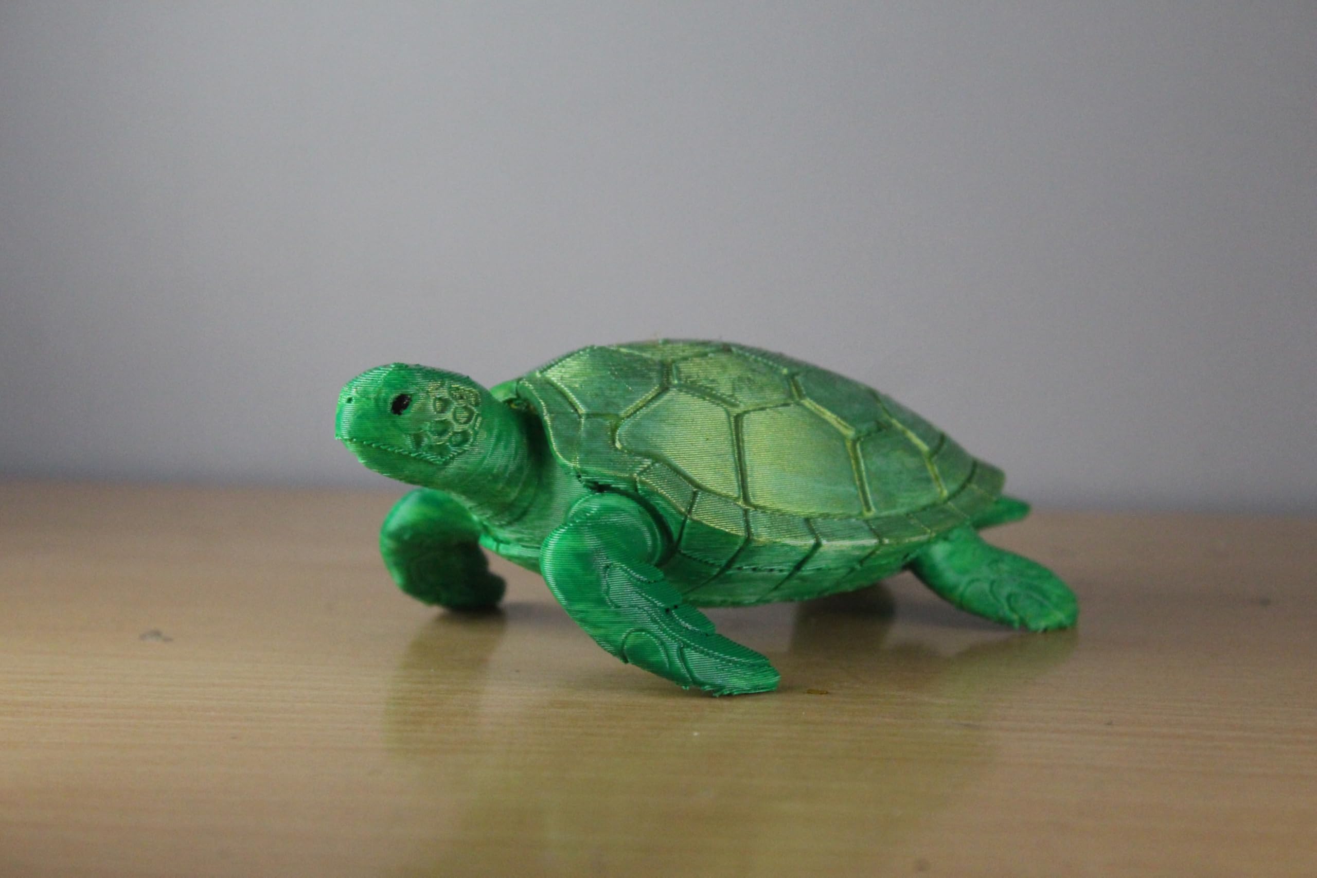 Buy cr8iwitty Turtle Statue for Home Decor | Feng Shui Lucky