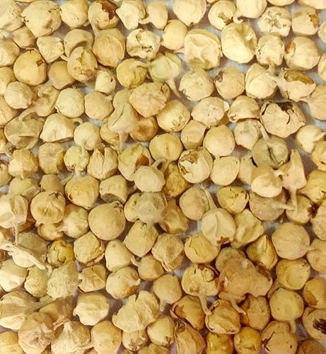 Vista 2 de Cuajo indio a base de hierbas ayurvédicas Paneer Doda Paneer ka Phool Withania Coagulan (Cuajo Indio, 2.2 lbs)