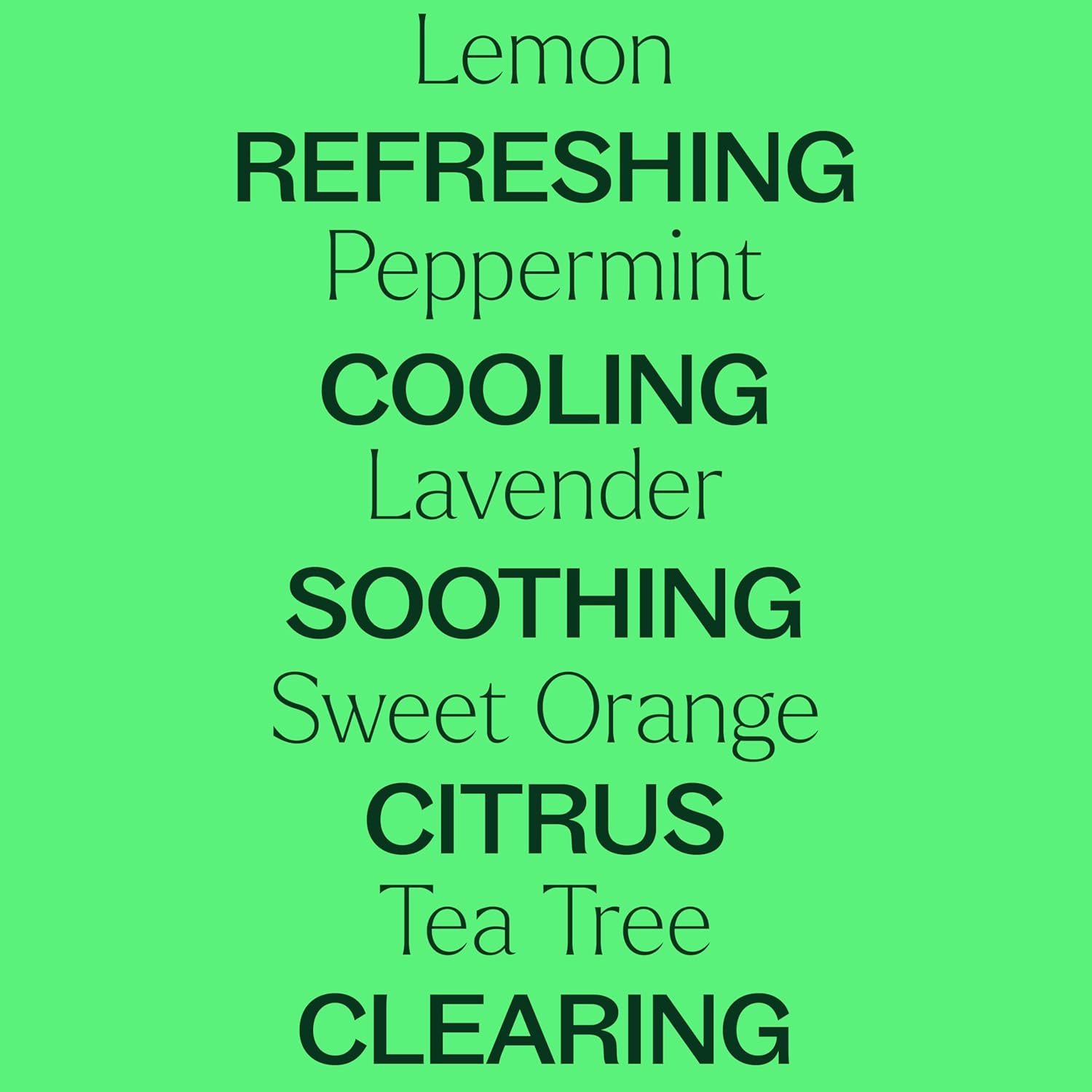 Plant Therapy Top 14 Essential Oil Set, 10 mL (1/3 oz) Bottles of Lavender, Eucalyptus, Peppermint, Orange Sweet, Lemon & More, 100% Pure, Undiluted, for Topical Use & Essential Oil Diffusers