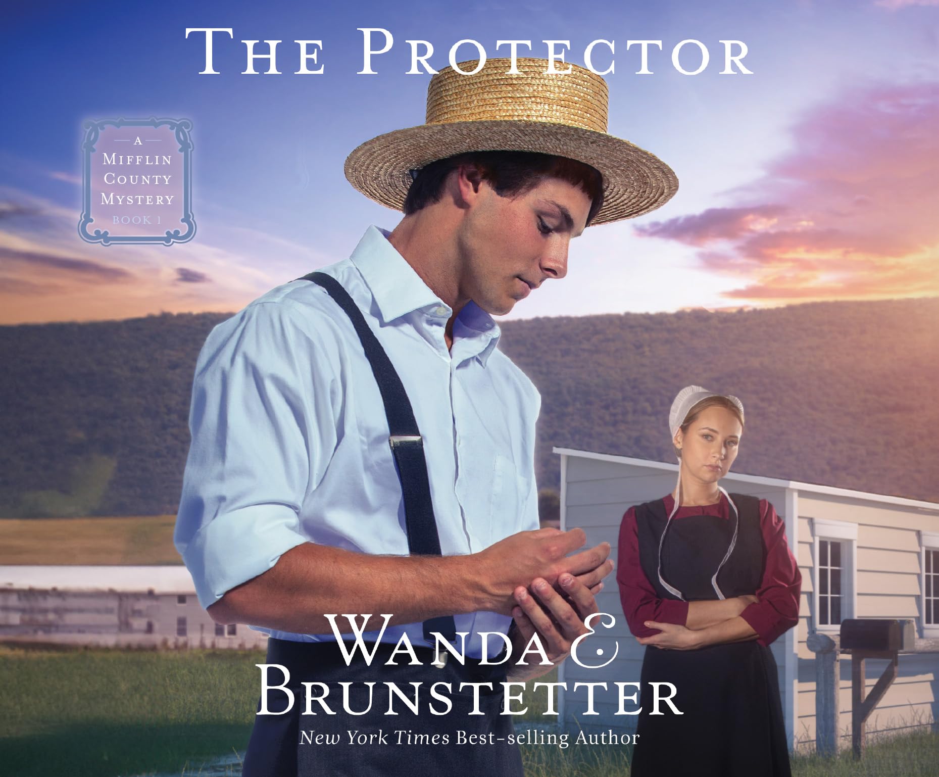 The Protector (A Mifflin County Mystery, 1)