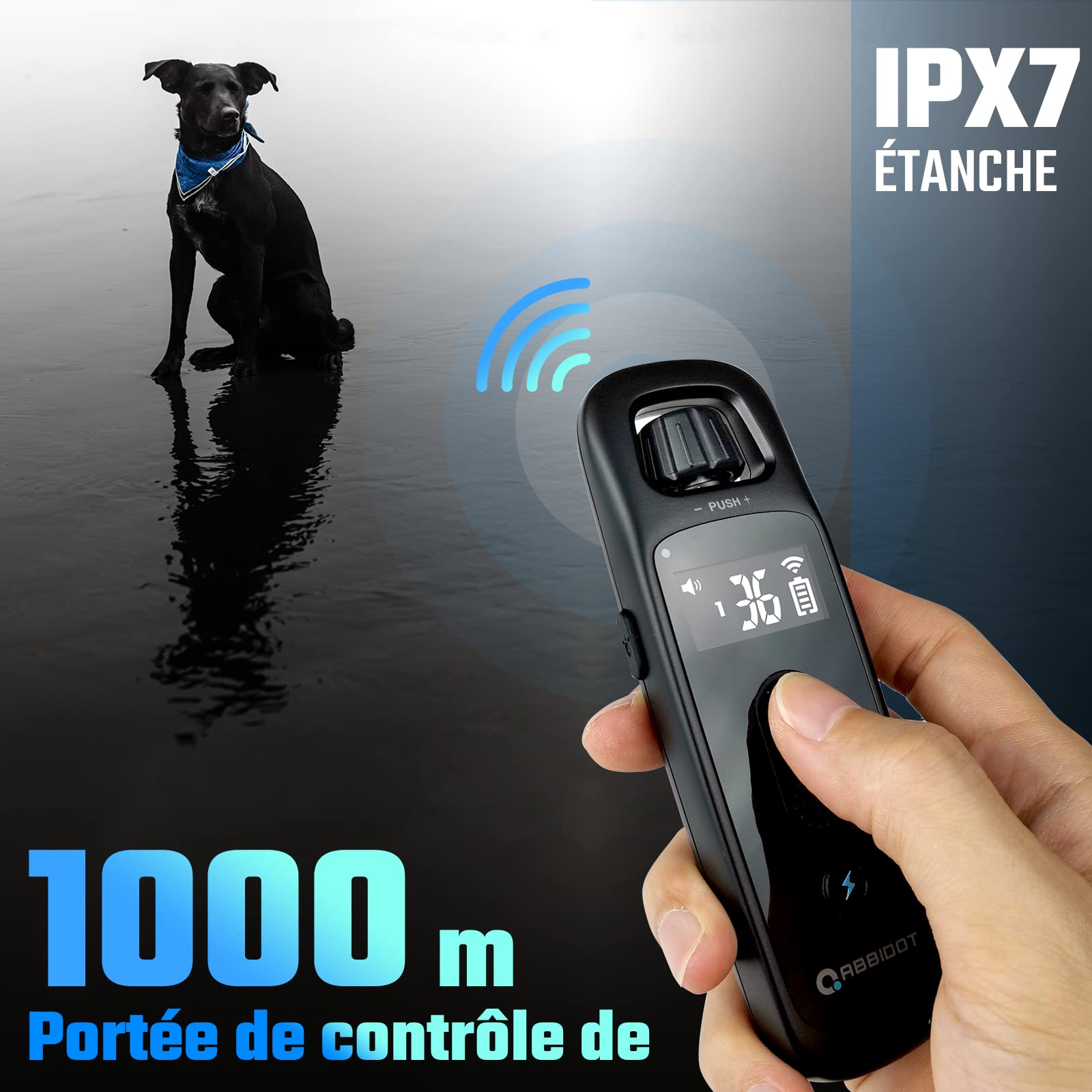 ABBIDOT Collier de Dressage pour Chiens - portée de 900m, Convient pour 5-55 Kg