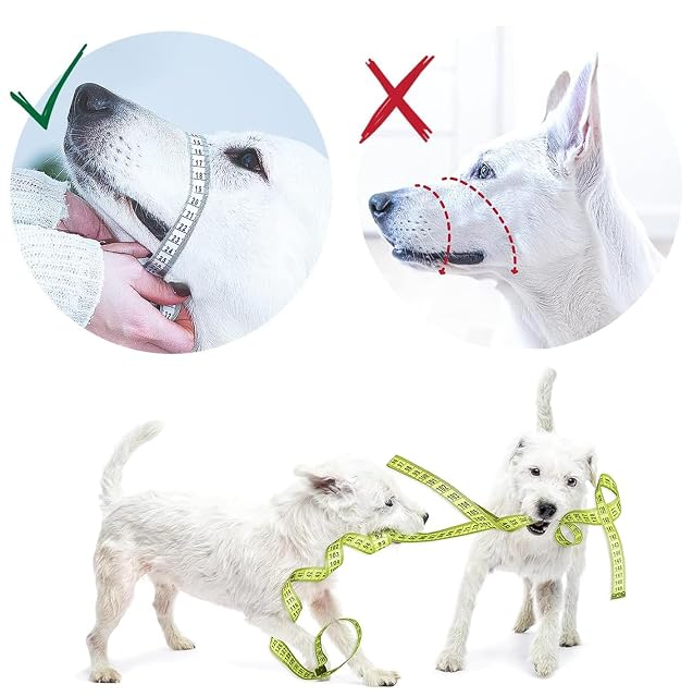 Foto 6 de 6 de Suave bozal para Perros - Evita mordeduras y masticaciones no deseadas de Forma Segura y cómodo Ajuste