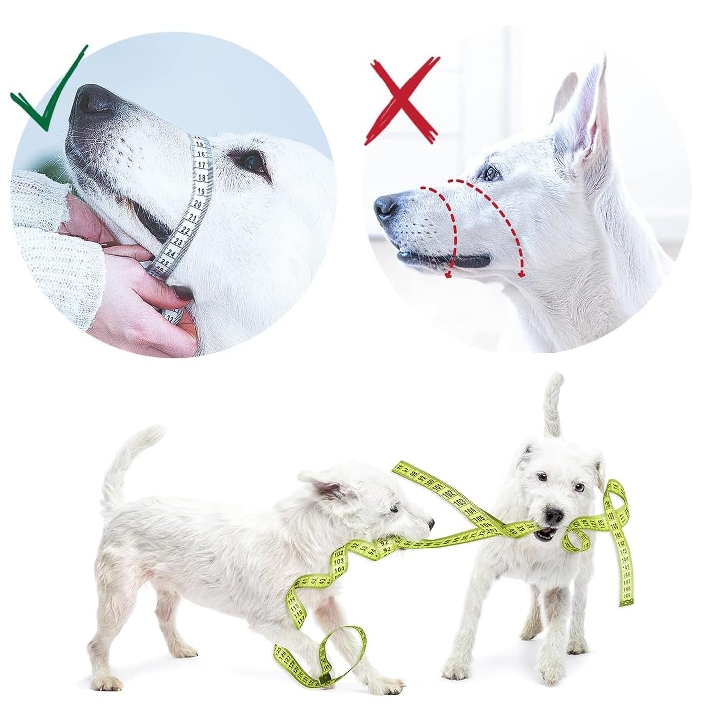 DOG GUARD COOL　ORBIT L Amazon.com : Gentle Muzzle Guard for Dogs - Prevents Biting and
