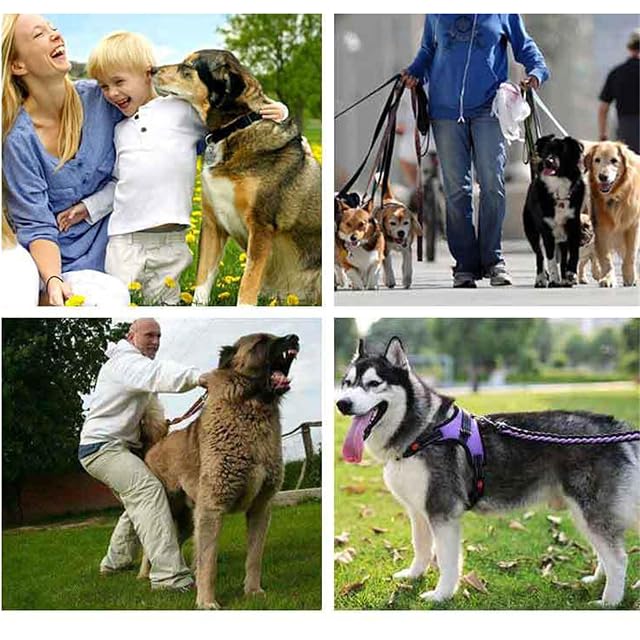 Foto 7 de 7 de Zeetan Escaleras Portátiles para Perros De Paso