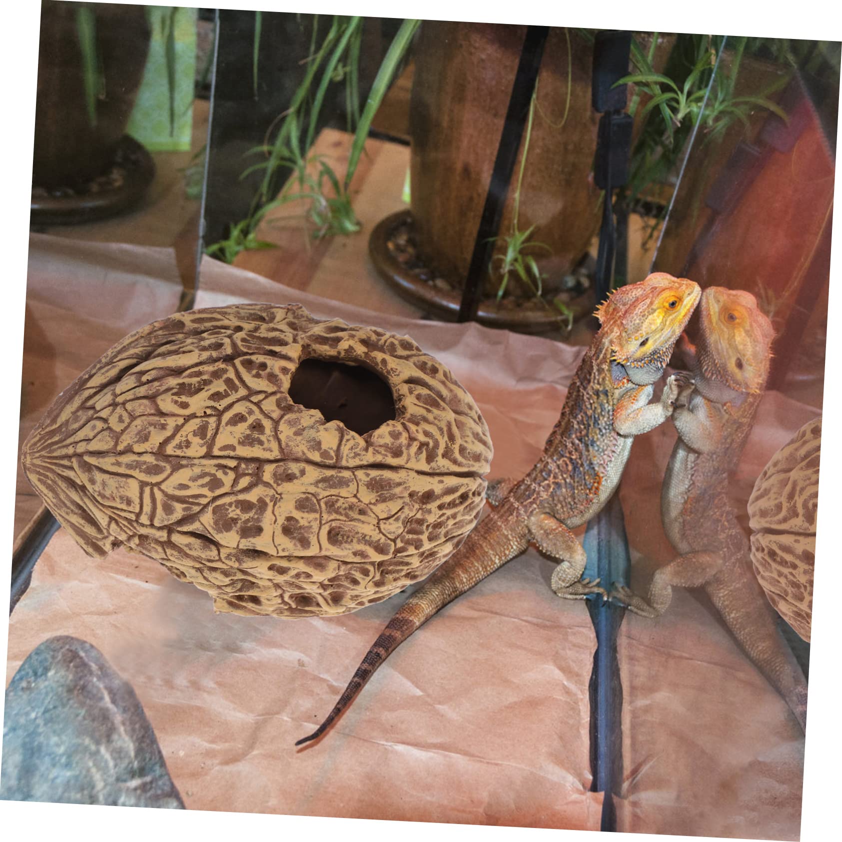 COLLBATH Cueva De Escondite para Peces y Reptiles Refugio Natural para Acuarios y Terrarios Decoración Acuática Única y Divertida Gran Escondite para Vida Marina y Reptilística