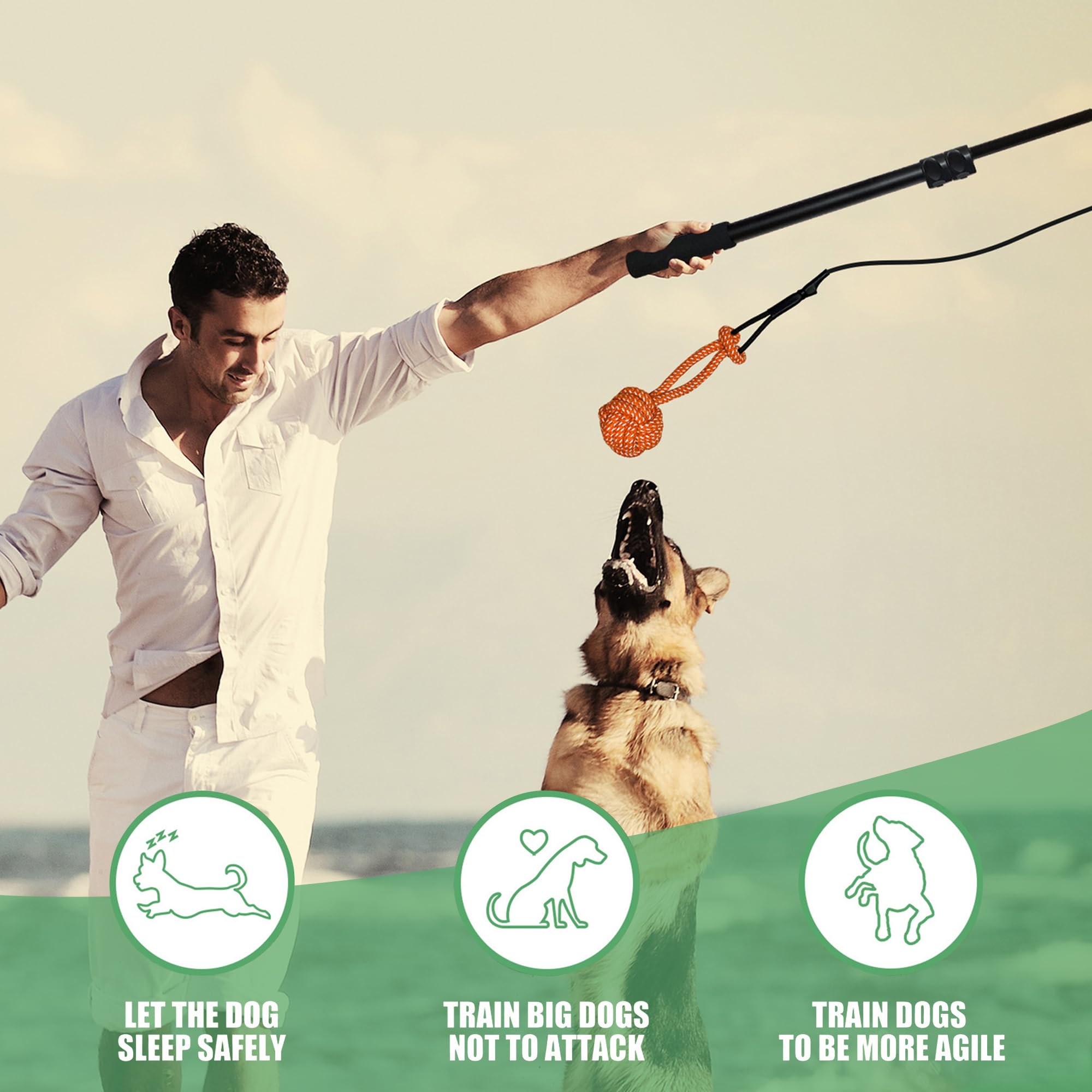 Flirtstange für Hunde, zusammenklappbar, ausziehbar, mit Quietschspielzeug, Jagdseil, Ballspielzeug, Agility-Trainingsgerät für kleine, mittelgroße und große Hunde, Trainingsgeräte für Hunde