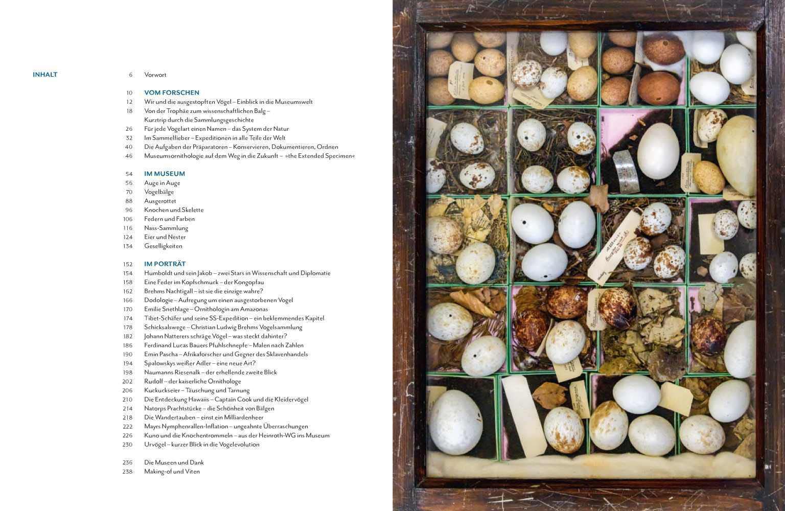 Vogelwelten: Expeditionen ins Museum