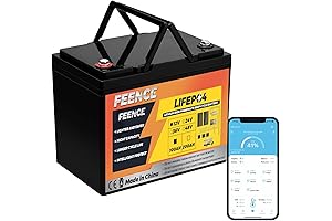 12V 100Ah Mini LiFePO4 Lithium Battery: Compact, Durable FENCE