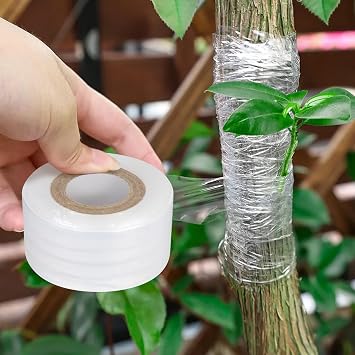 Grafting Tape 3P, Stretchable Self Adhesive Tree Grafting Tape, Tree Repair Tape for Fruit Trees, Plants, Broken Stem, Floral (Green and White)