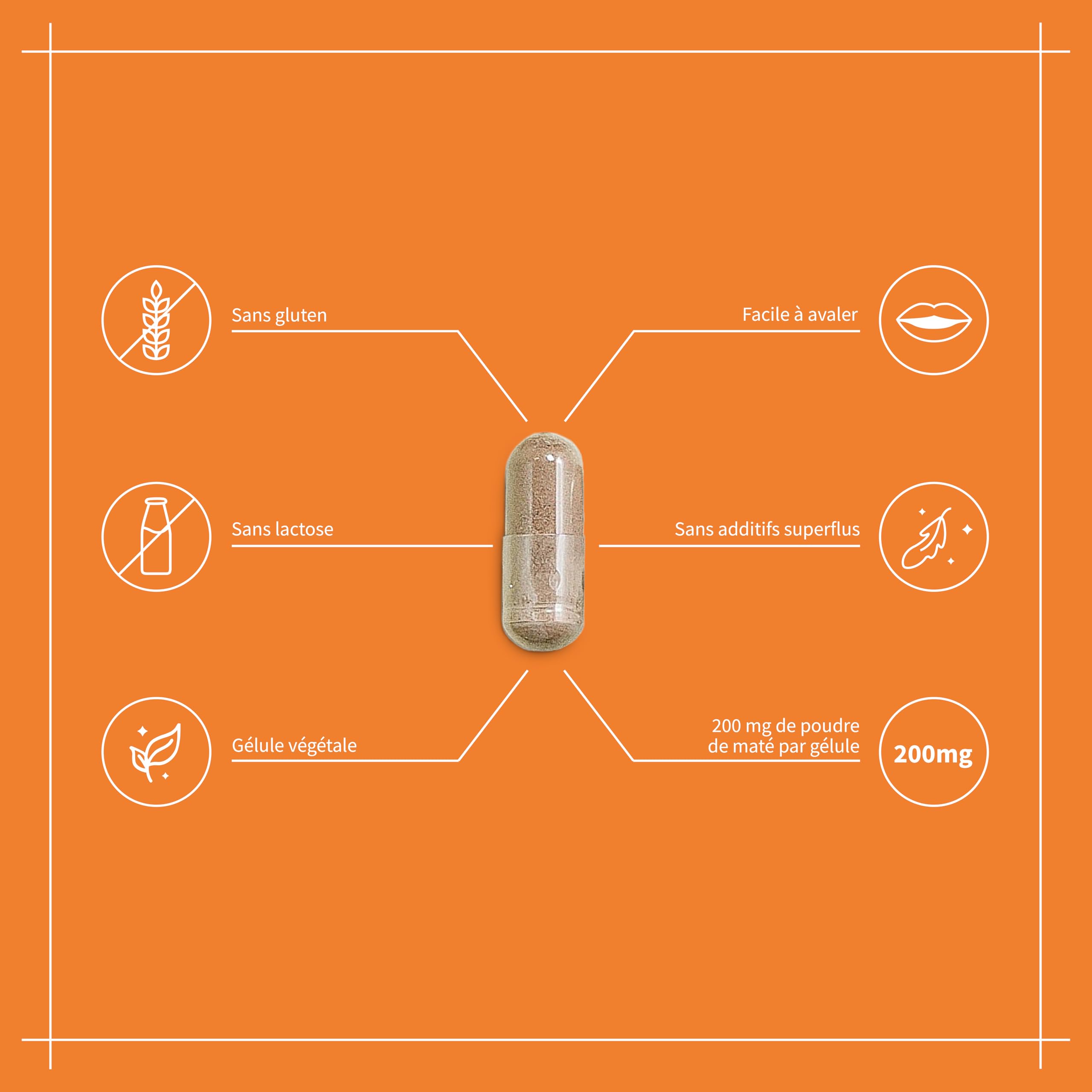 Maté |Energie & Vitalité |Complément alimentaire |180 Gélules