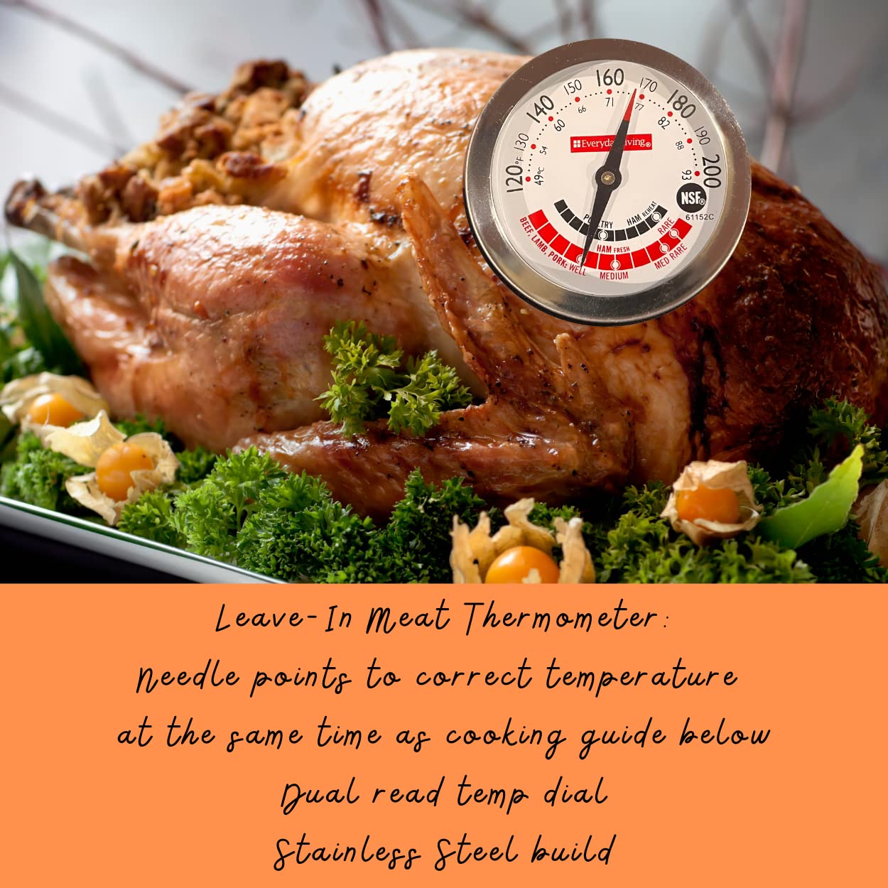 review Cooking Thermometers Set, Classic Analog Meat and Instant Read Kitchen and Food Safety