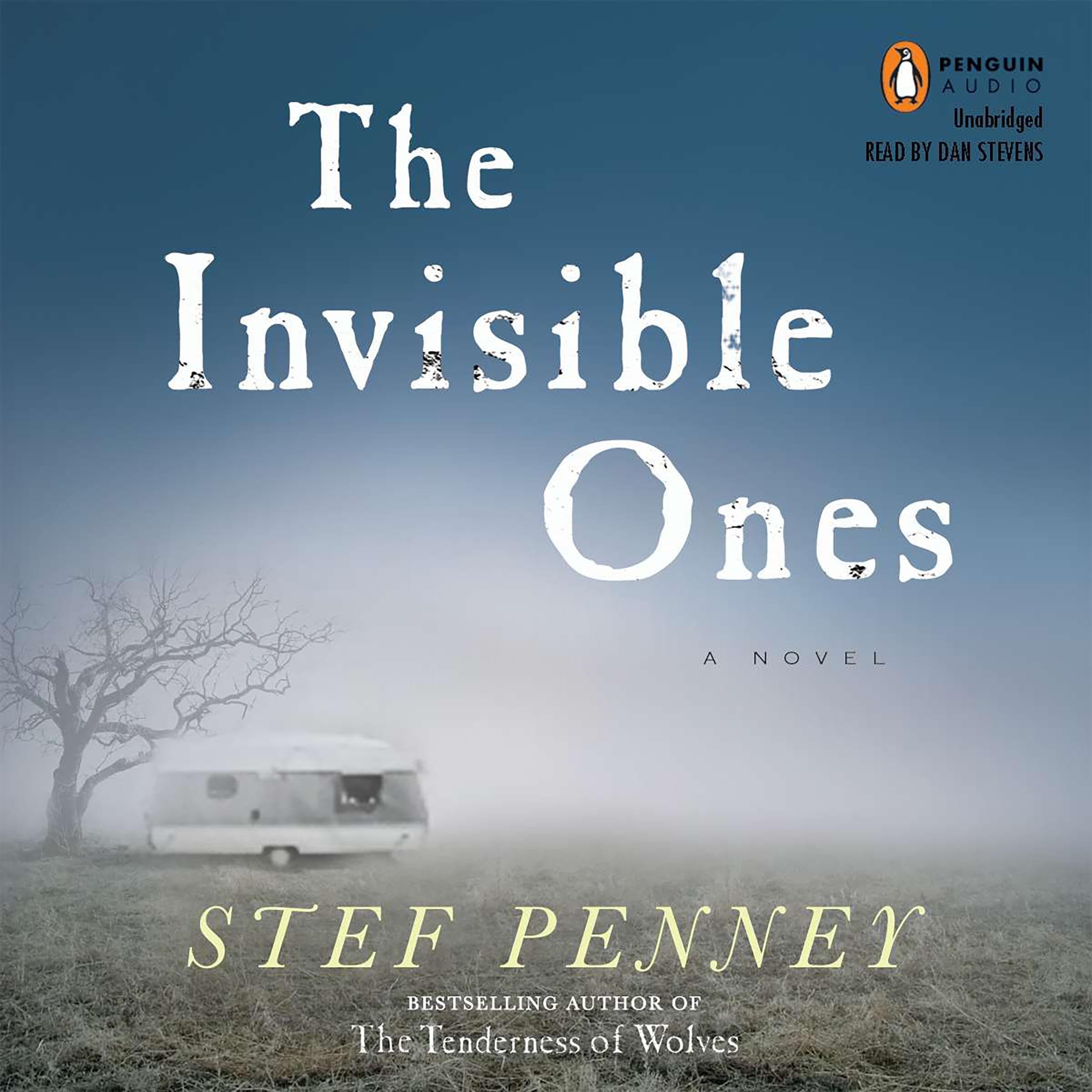 Cover art for The Invisible Ones