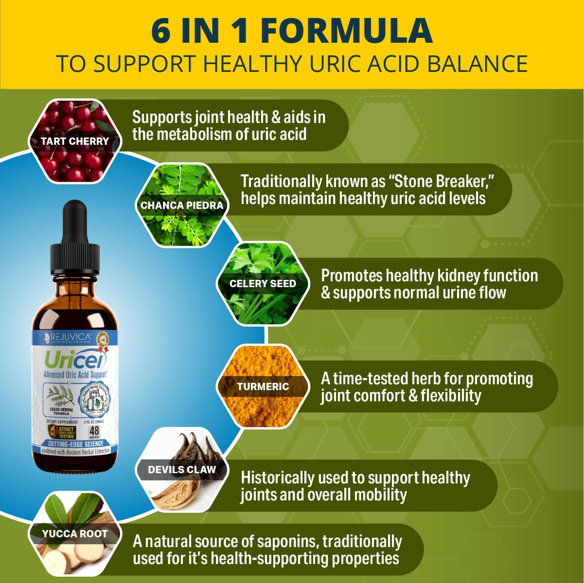 Rejuvica Health Uricel - Advanced Uric Acid Support & Cleanse Supplement - Liquid Delivery for Better Absorption - Tart Cherry, Chanca Piedra, Celery Seed, Turmeric & More! - Image 3
