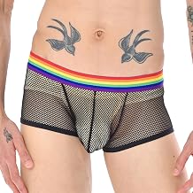 Mens Mesh Briefs Breathable Transparent Elastic Rainbow Sexy Comfortable Underwear