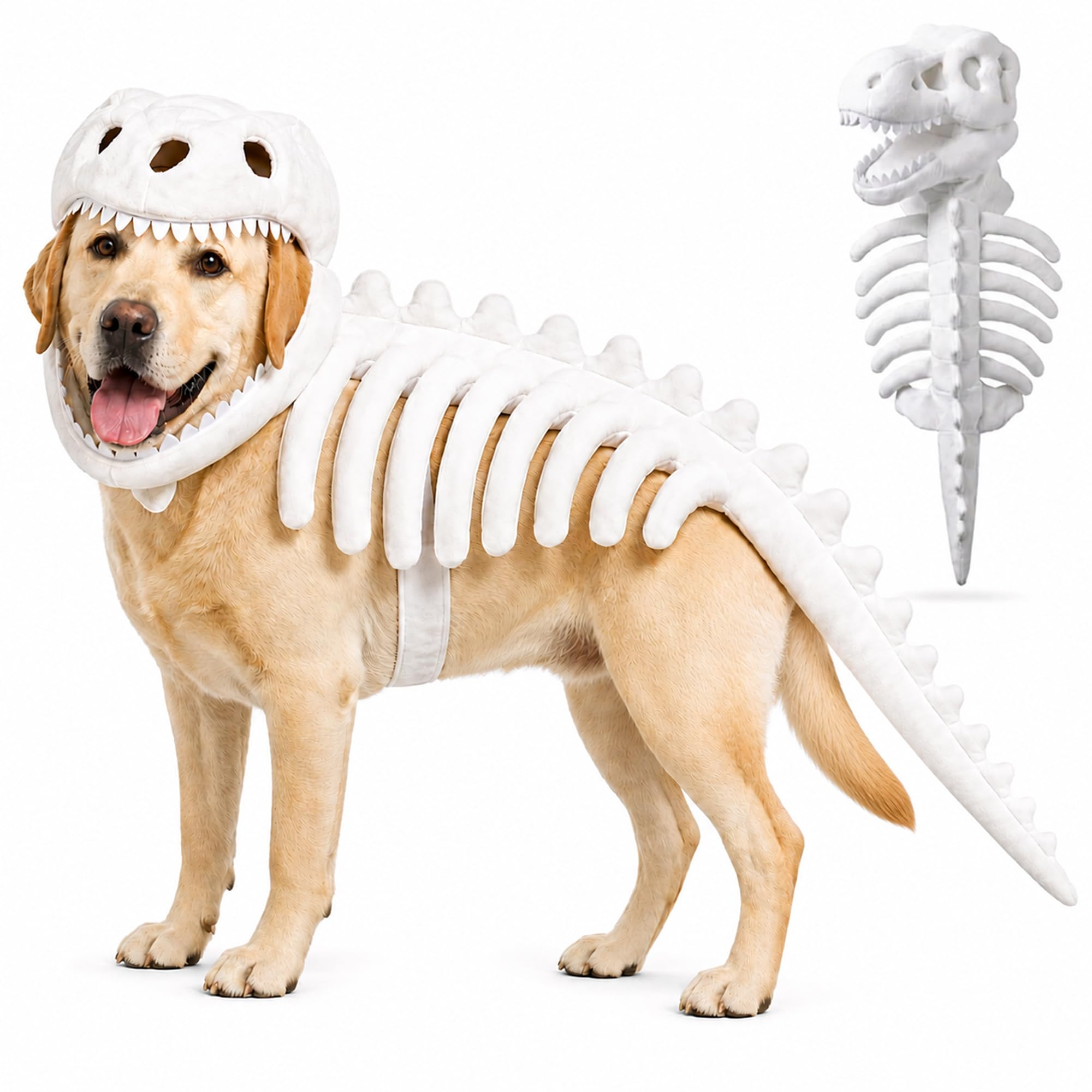 Dog Dinosaur Costume, 3D Skeleton Halloween Costume for Dogs