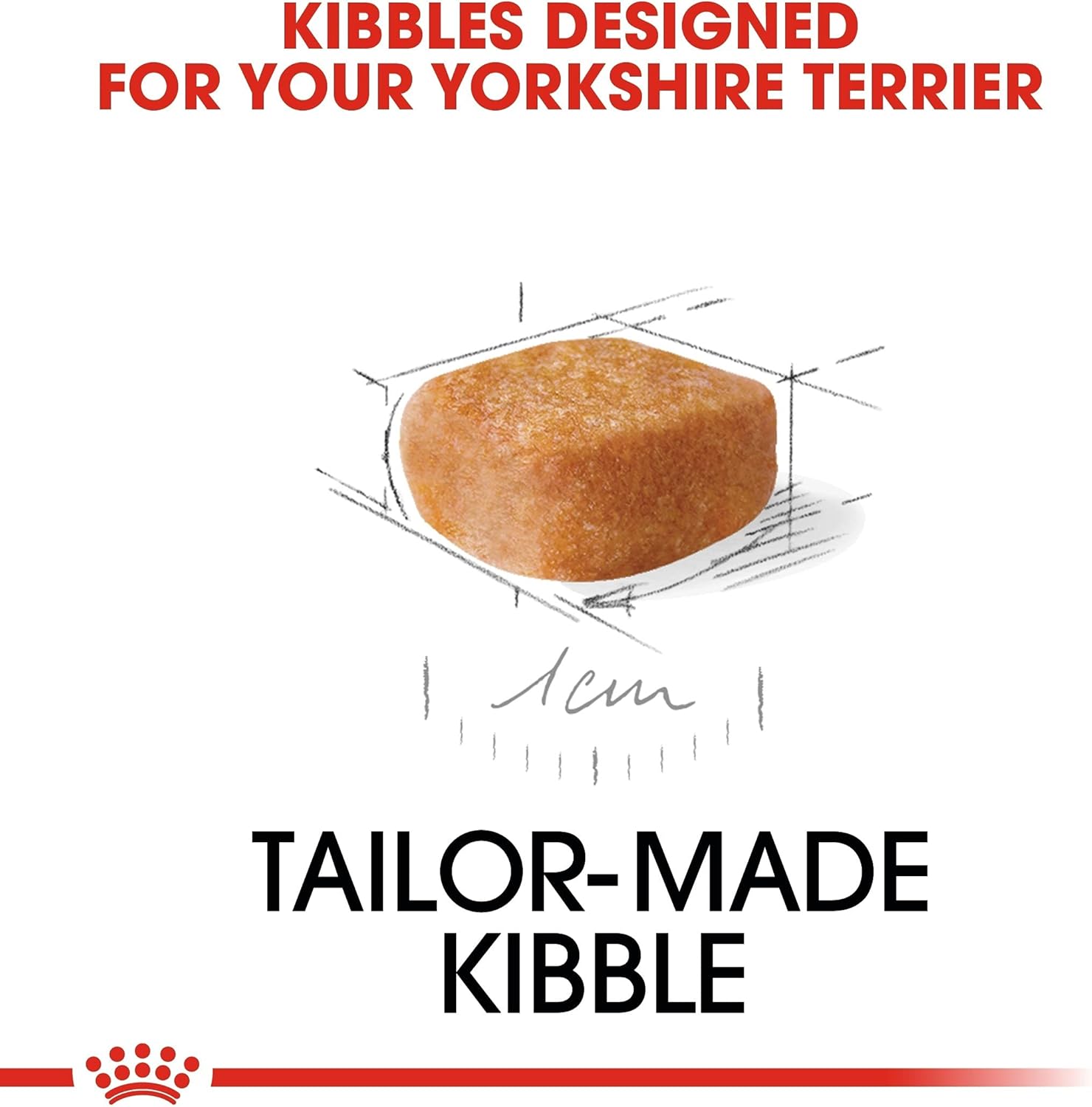 yorkshire terrier junior