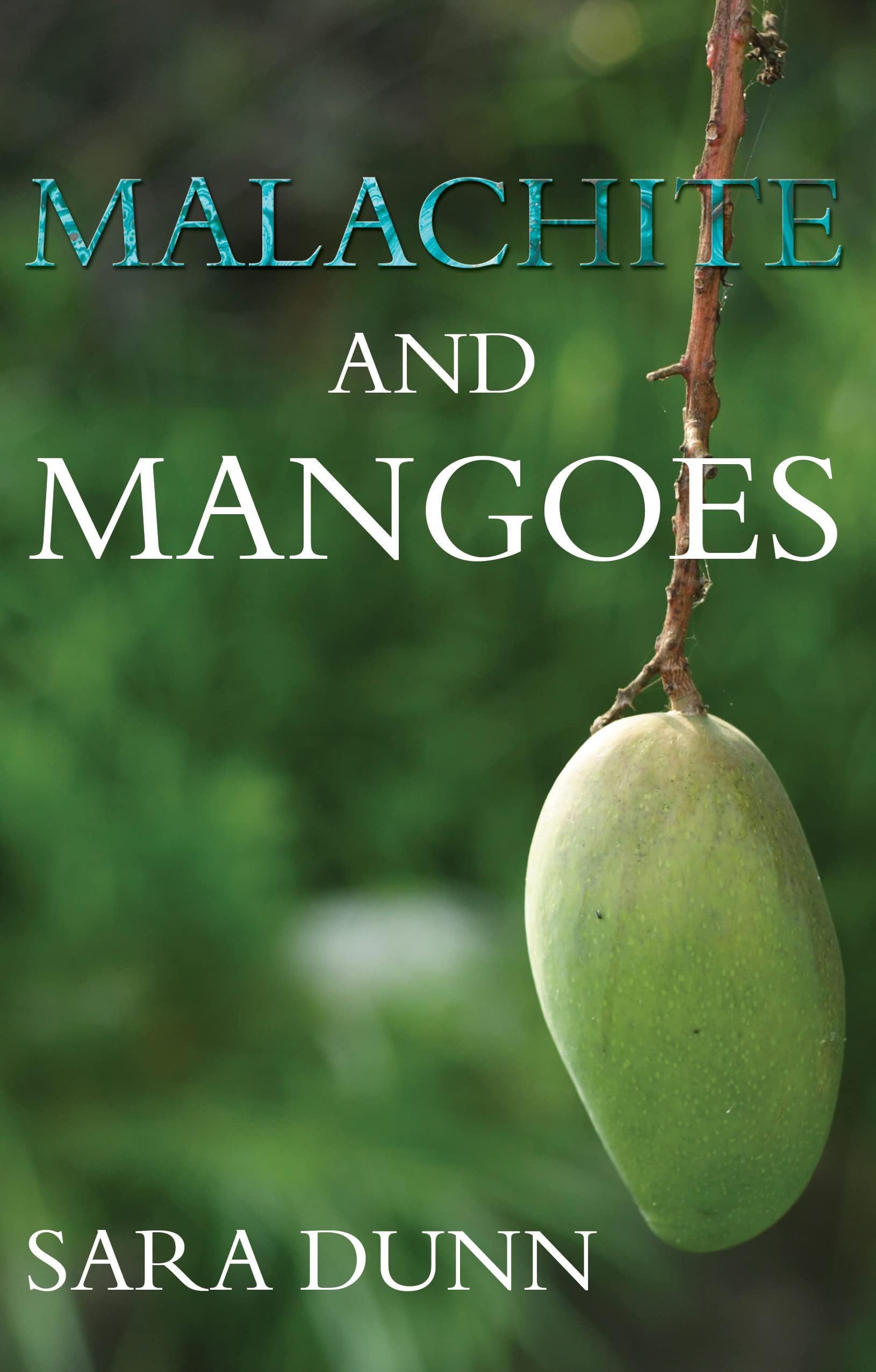Malachite and Mangoes: Five years in the Zambian Copperbelt Paperback – 28 Feb. 2016