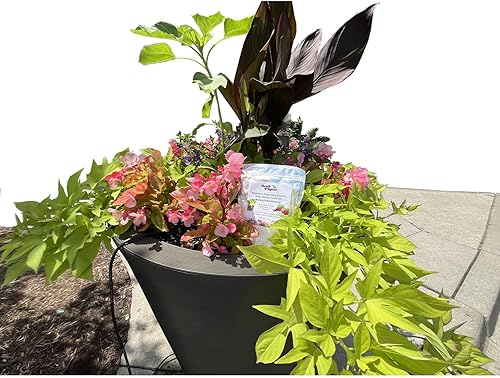 Miniatura 5 de Polímeros de poliacrilato de potasio de 1 libra de humedad del suelo Soil Vigor