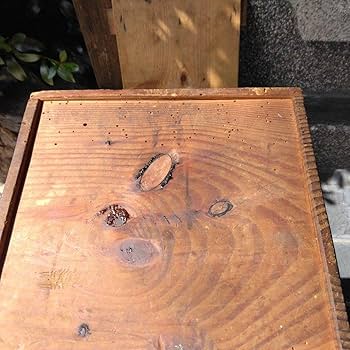 Amazon.co.jp: 昭和レトロ 古道具 大工道具箱 アンティーク