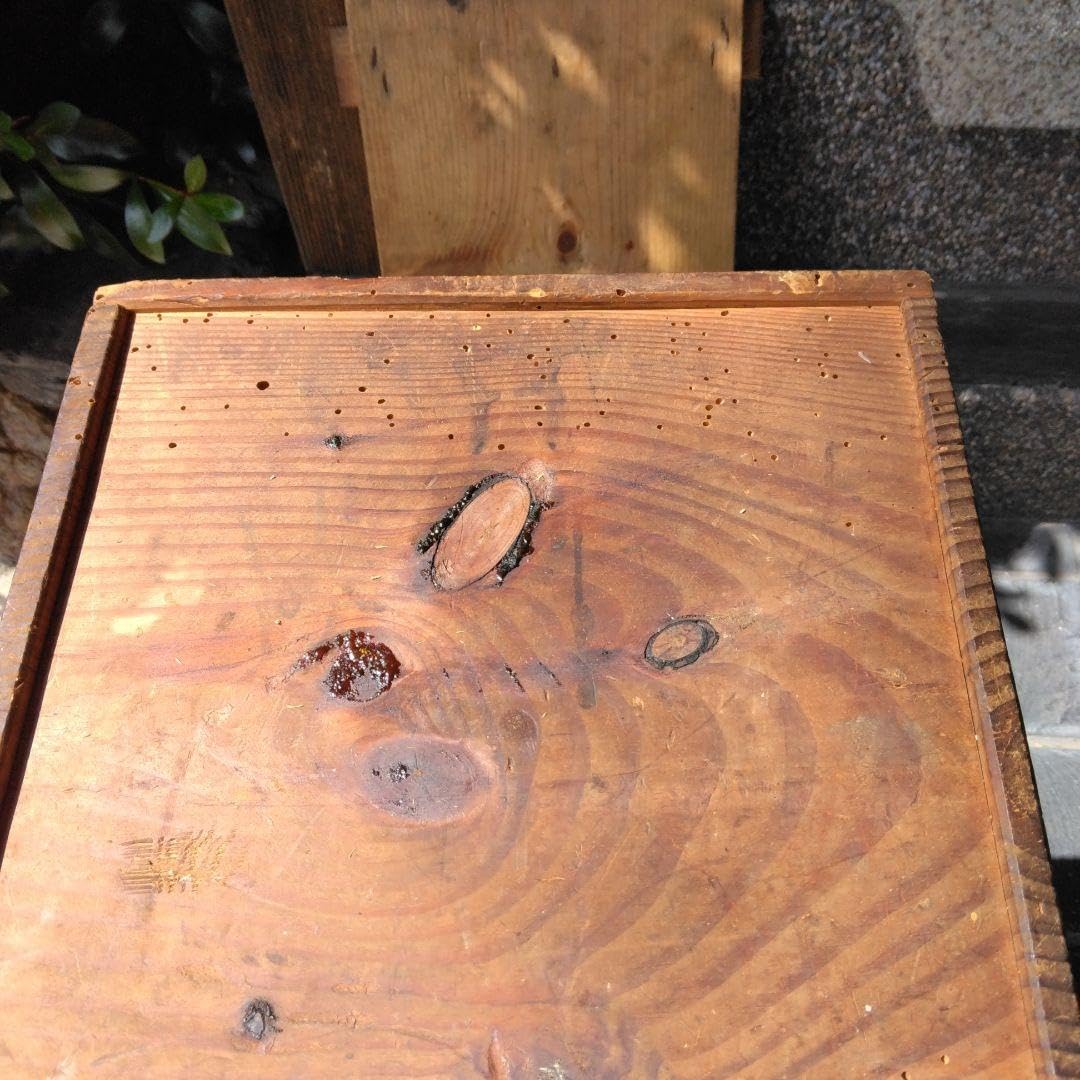 Amazon.co.jp: 昭和レトロ 古道具 大工道具箱 アンティーク