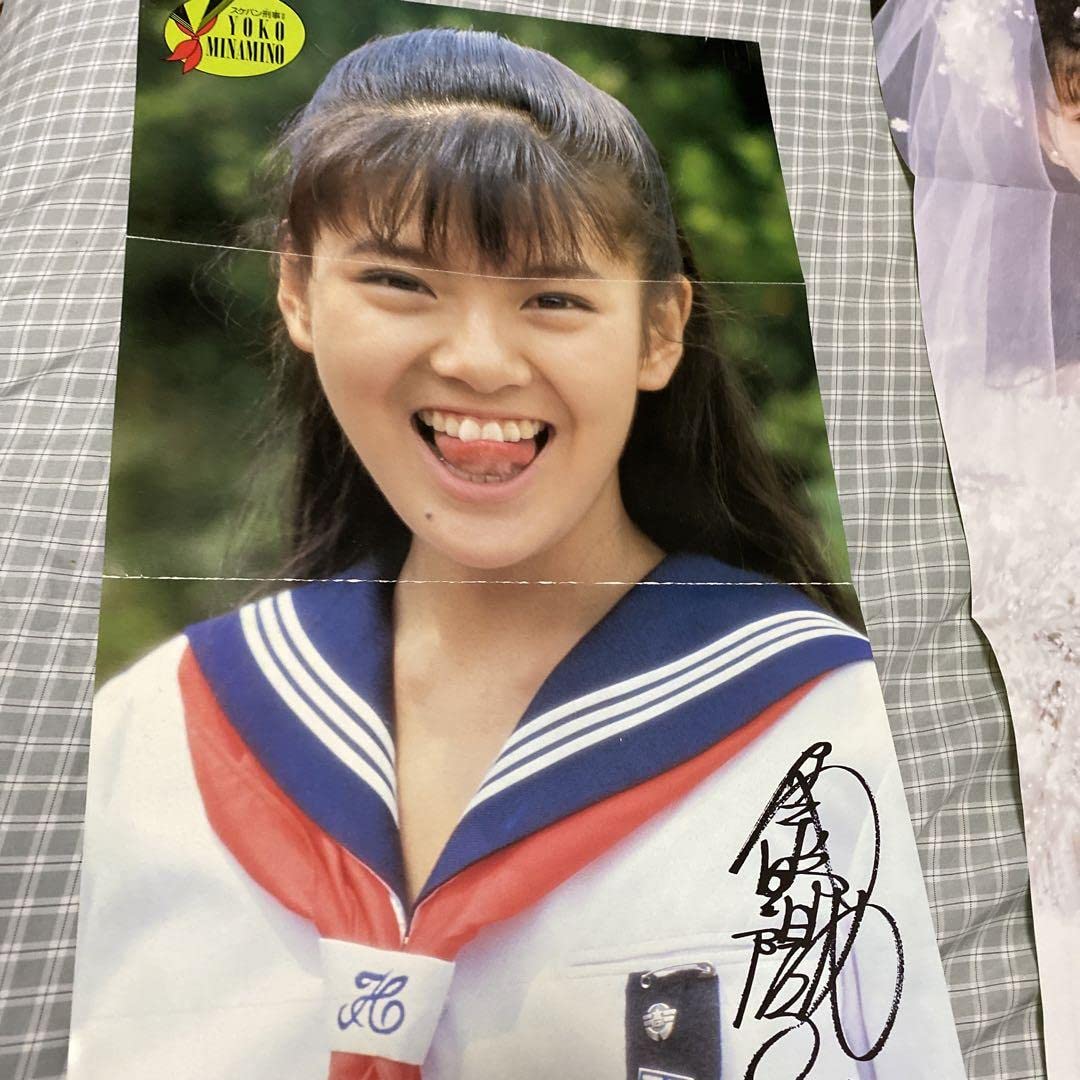 Amazon.co.jp: 南野陽子 スケバン刑事2 アリエスの乙女たち 折り込み