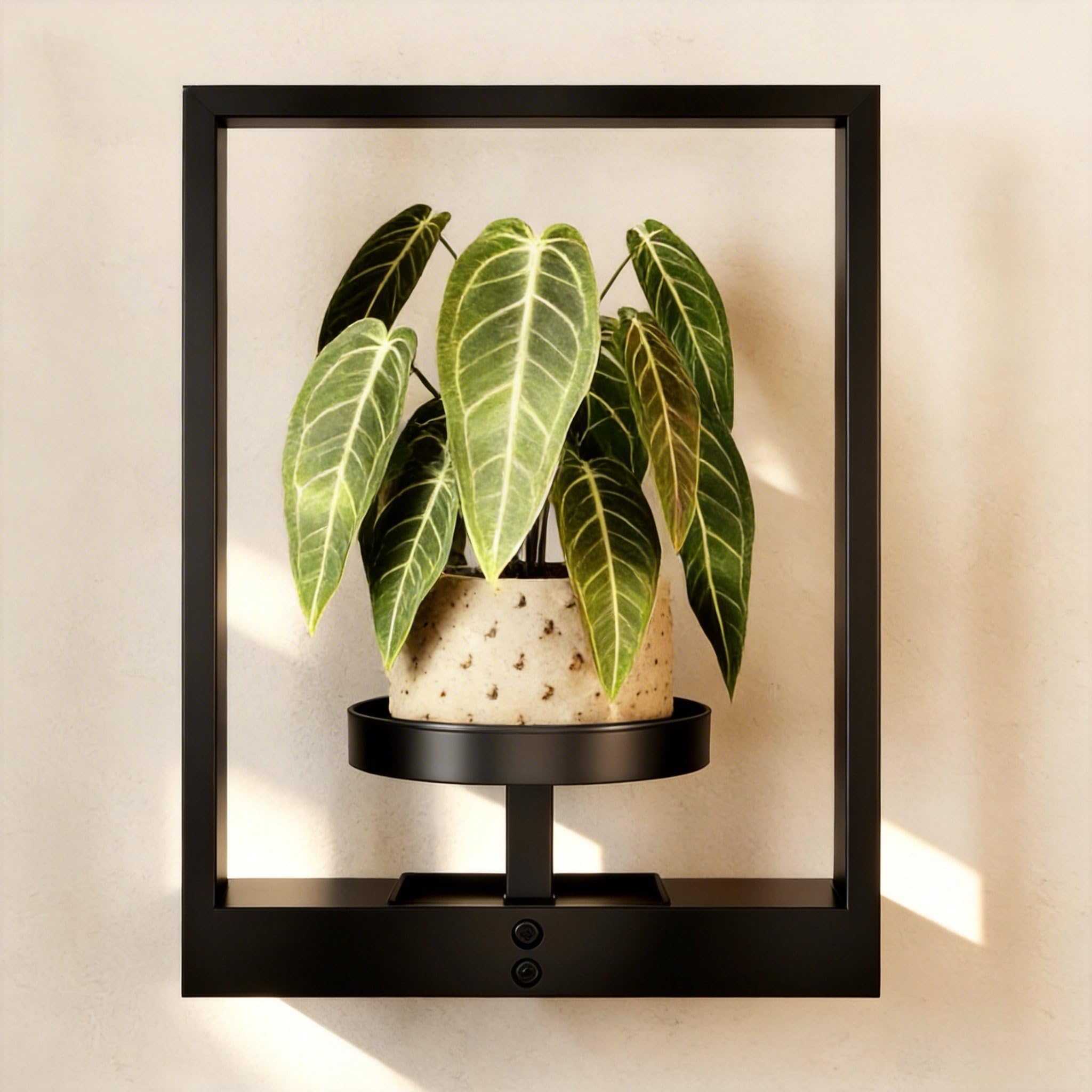 GENTINGBRO Wall Plant Holder Wall Planters for Indoor Plants Plant Wall Shelf Plant Hanger Indoor Hanging Plant Holder Wall Decor Plant Frame for