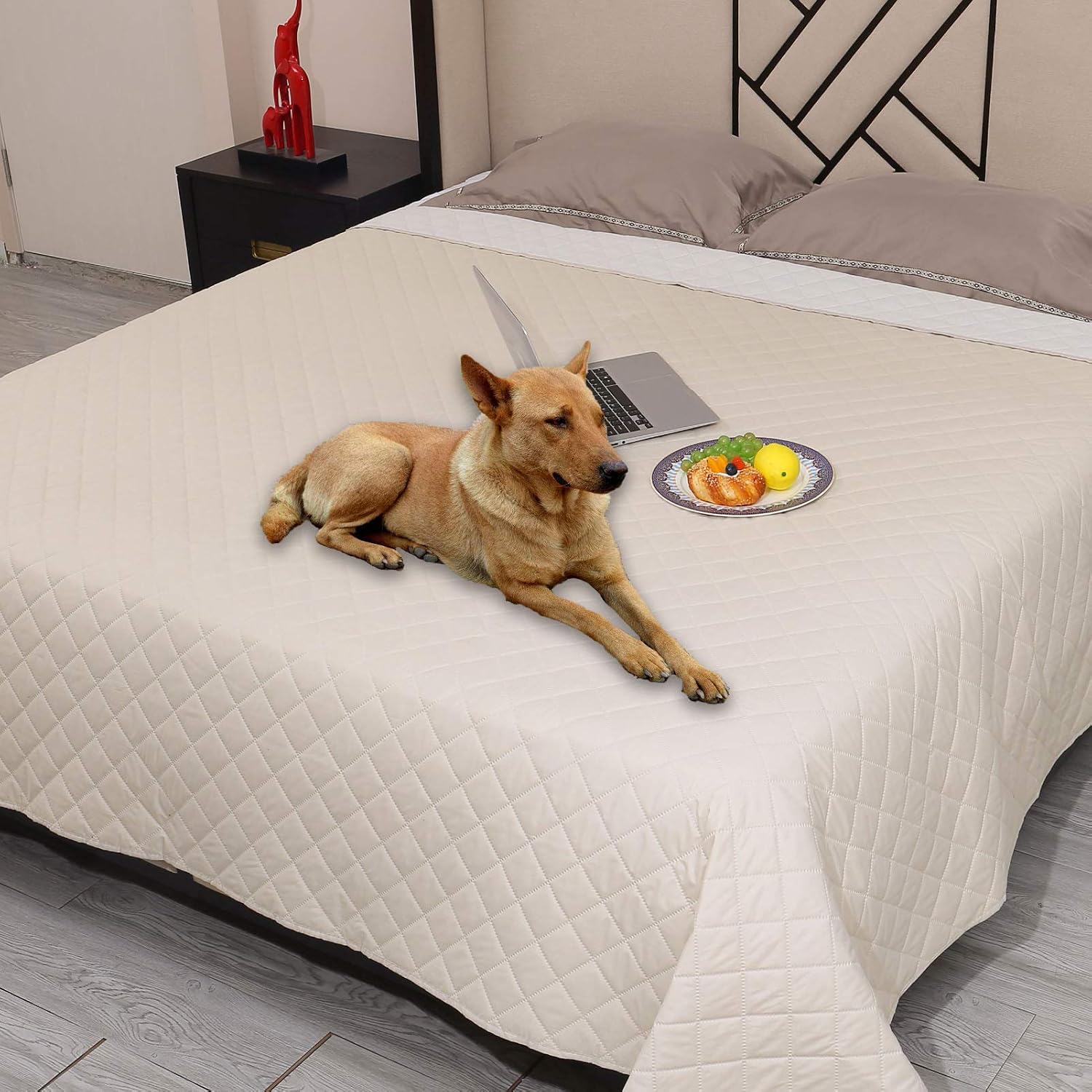 Snagle Paw Waterproof Dog Couch Cover,Washable Puppy Pad,Reusable Dog Bed Cover with Non-Slip Back,Pet Furniture Bed and Sofa…