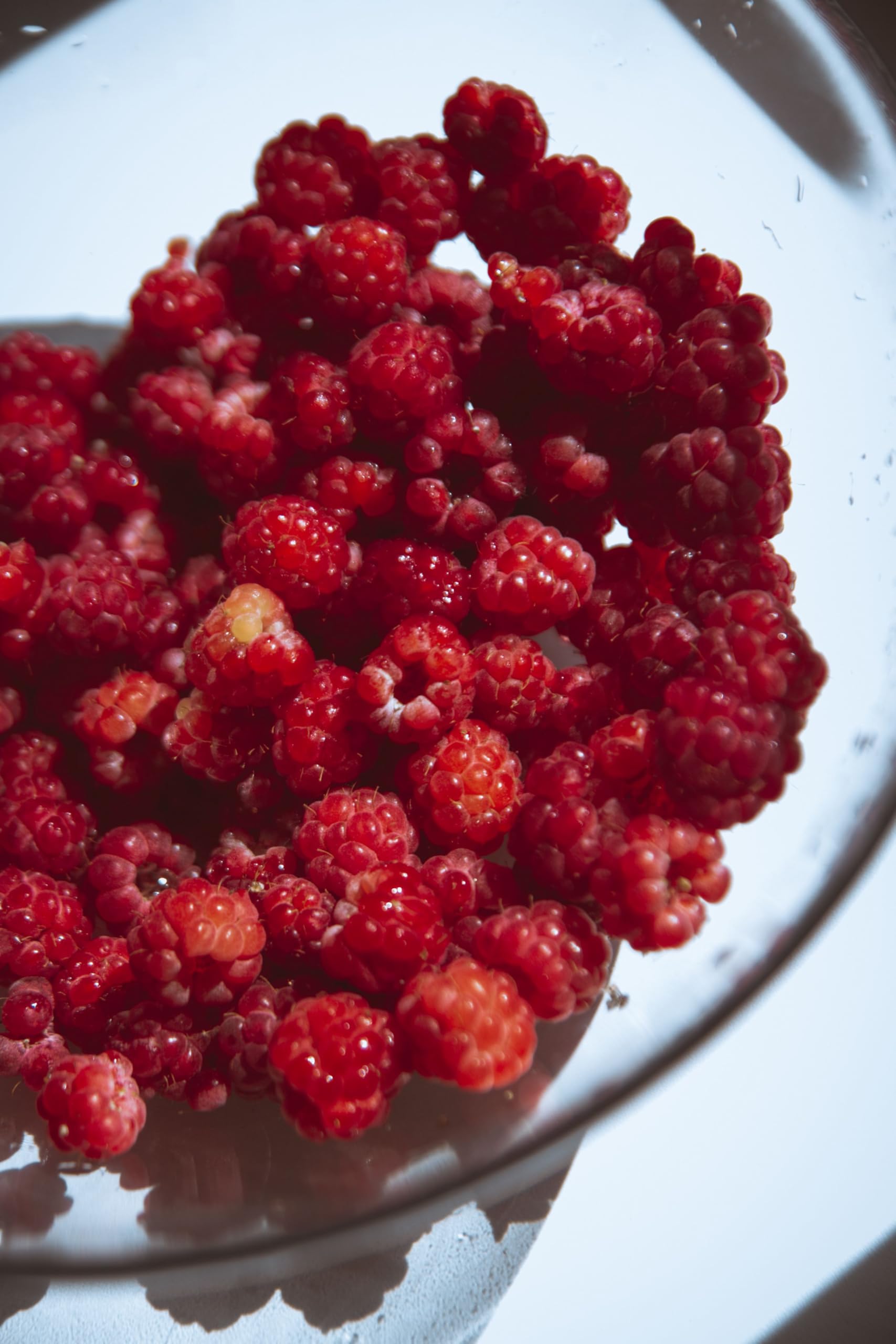 Ponthier HIMBEEREN PÜREE Beeren-Frucht-Mark 4x 1KG für Smoothie-Bowl-Sorbet-Quark-Gelée-Müsli-Topping ohne künstliche Zusätze höchste Qualität ausgewählter Früchte