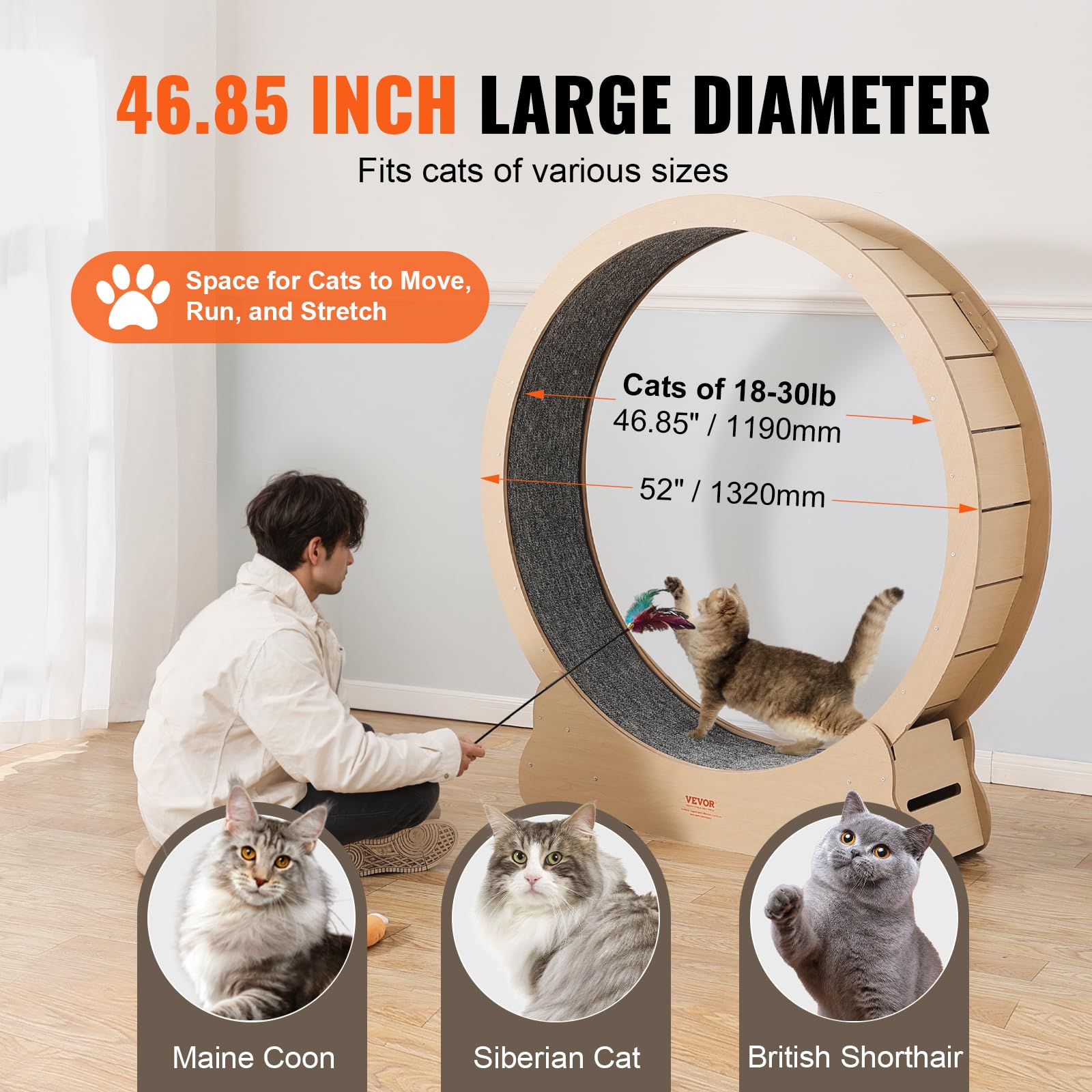 Amazon.co.jp: VEVOR 木製猫用エクササイズホイール 52インチ 大型猫用