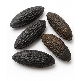 Motherland Goods Whole Tonka Beans Premium Grade Cumaru Kumaru Pods Dipteryx Odorata 100% Raw & Natural, Aromatic Spice for Desserts, Infusions & Fragrance Use 5 Pieces