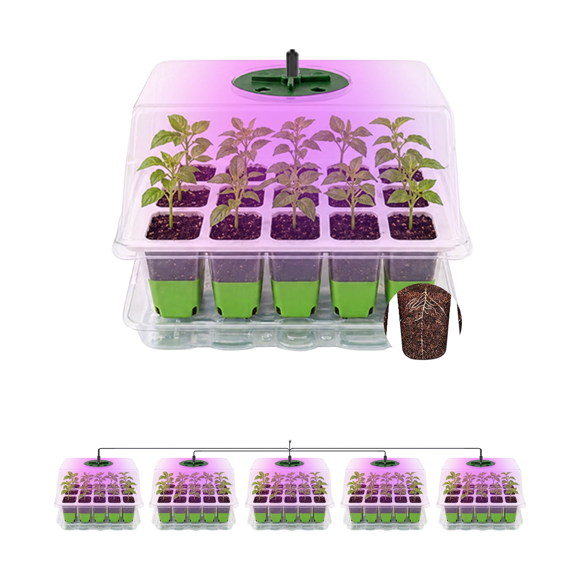Bandejas de Semilleros,5 Pcs Semilleros de Germinacion con Luces para Plantas,Silicona Flexible Células Invernadero Pequeño Bandejas,Germinador de Semillas con Regulador De Tiempo,Humedad Ajustable