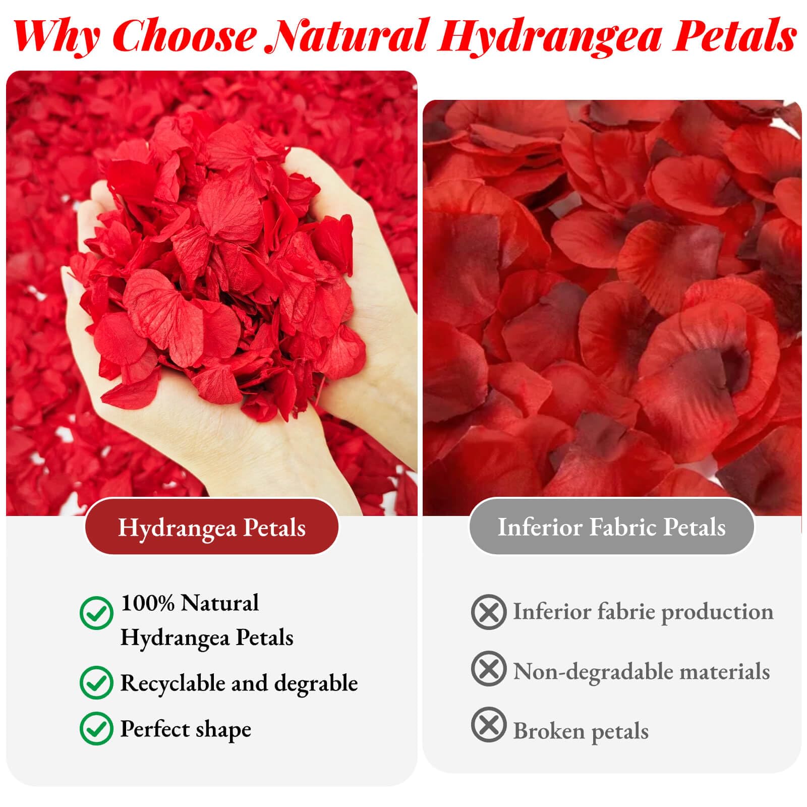 Real Dried White Hydrangea Petals - 1.06oz Natural Flower Confetti For Weddings & Decor