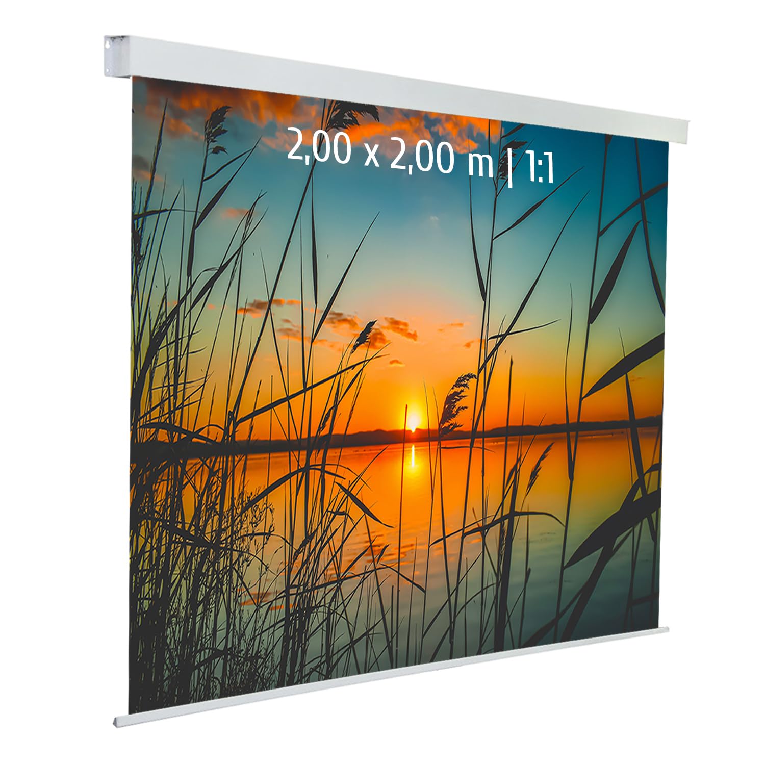 Ecran de Projection motorisé 2,00 x 2,00m - Format 1:1 - Toile Blanche