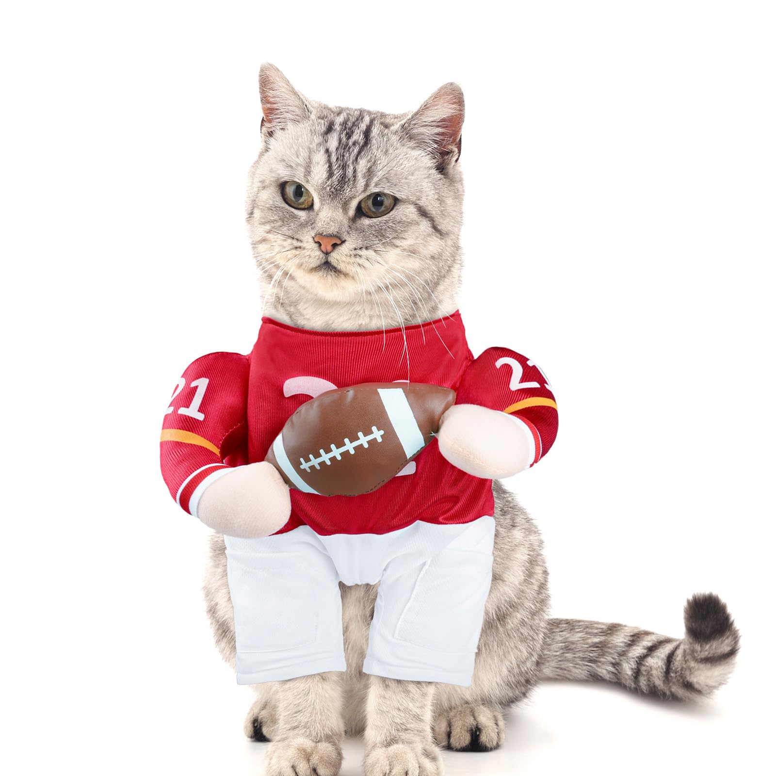 DELIFUR Football Player Dog Costume - Adjustable Funny Halloween Costume for Cat and Puppy (Football, X-Small)
