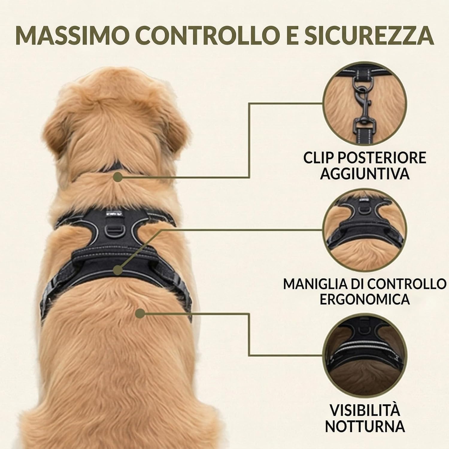 Cosyrae Pettorina anti-tiro