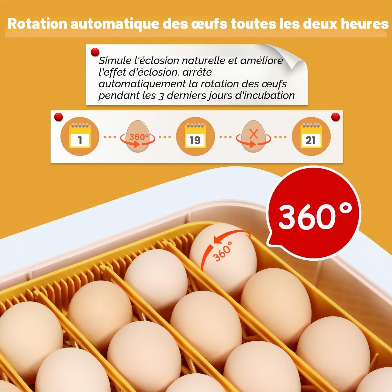 Sailnovo Couveuse Automatique pour 56 Œufs, Couveuse Oeuf Poule avec Retournement Automatique des Œufs, Contrôle de Température et Ajout Automatique d'Humidité, Jaune