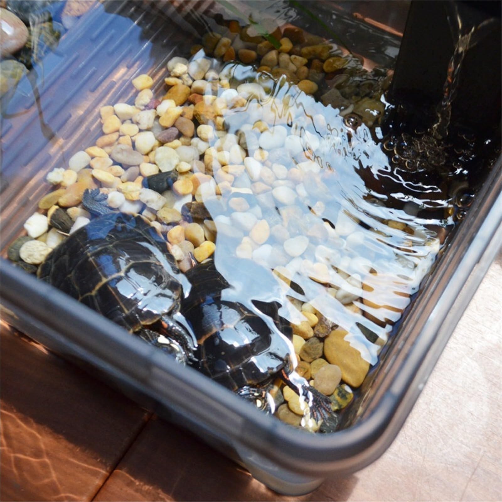 Siedlisko terrarium Zbiornik do hodowli żółwi ekologicznych małych amfibii domowych Terrarium akwariowe(Średni)