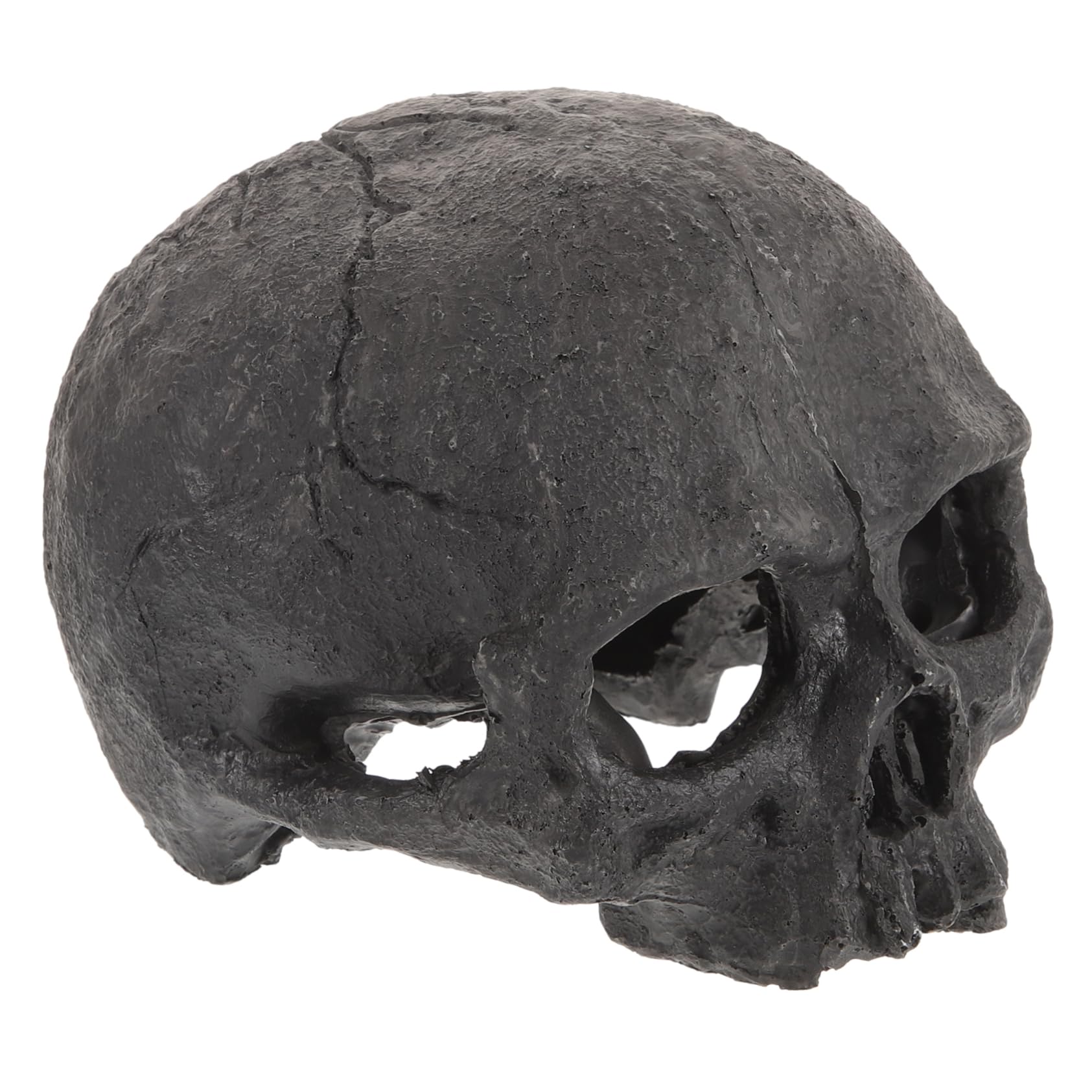 Drachenschädel Deko Aus Resin - Realistische Skulptur Für Garten & Aquarium