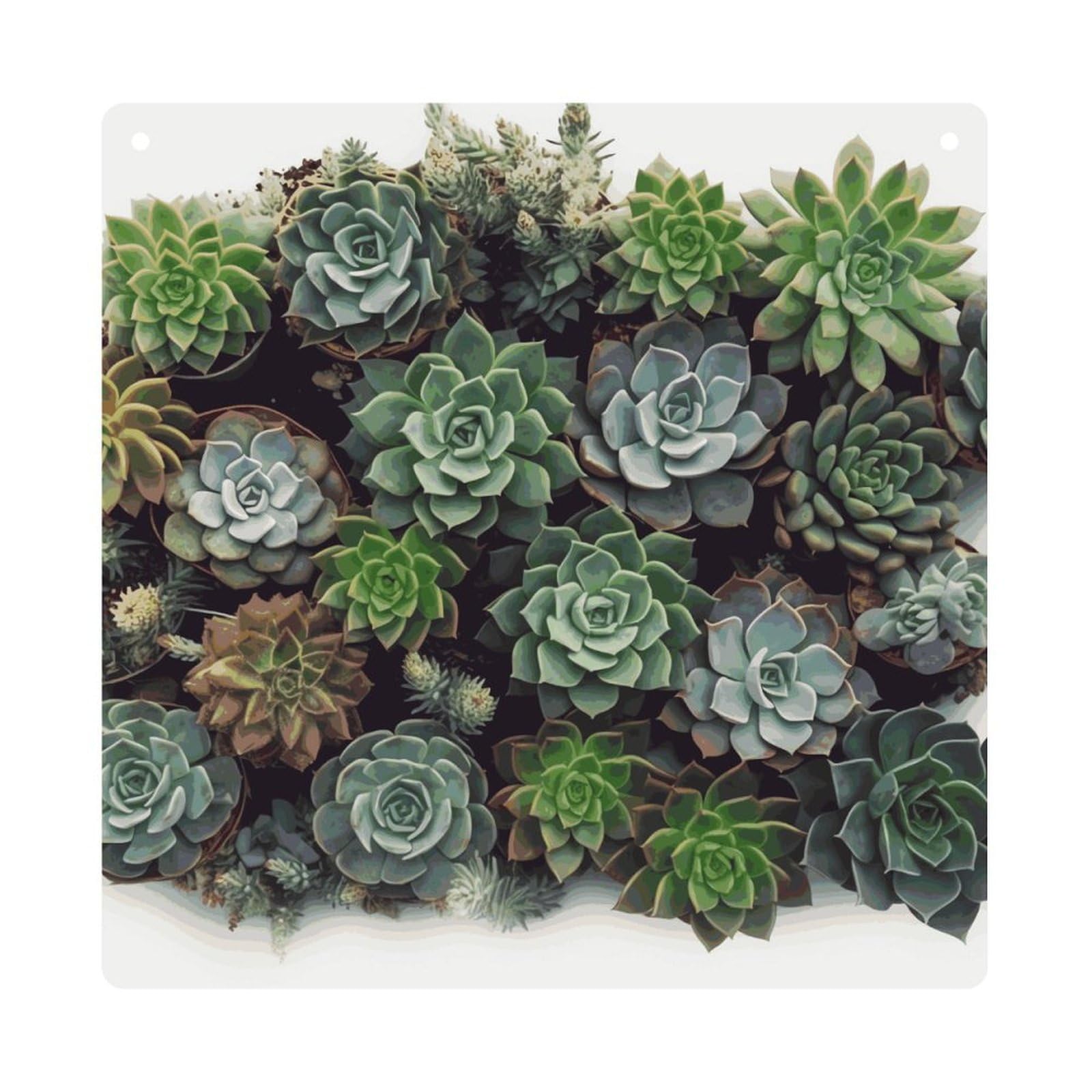 Adfgyerh Style Succulent Plants Hanging Ornaments Window Hanging Modern Acrylic Decor For Living Room Bedroom Dining Room Hallway Office Wall Decor, 8X8 In