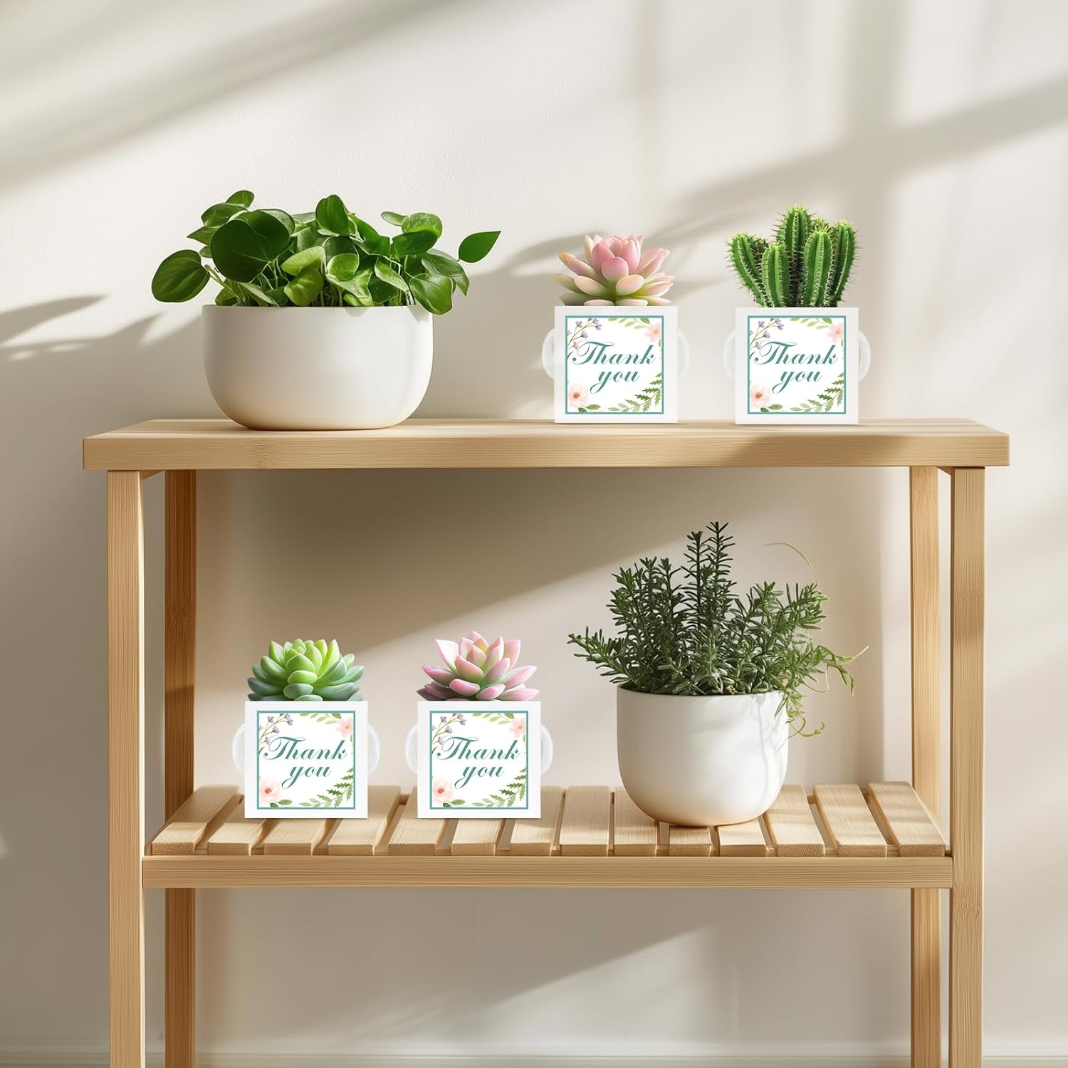 LawnIdyll 50 Pcs Succulent Wrap Bags with 100 Pcs Thank You Stickers, Unique Baby Shower Succulents Favors Fit 2.5 Inch Pots, Wedding Birthday Graduation Bridal Shower Party Favors for Guest Gift - Image 7