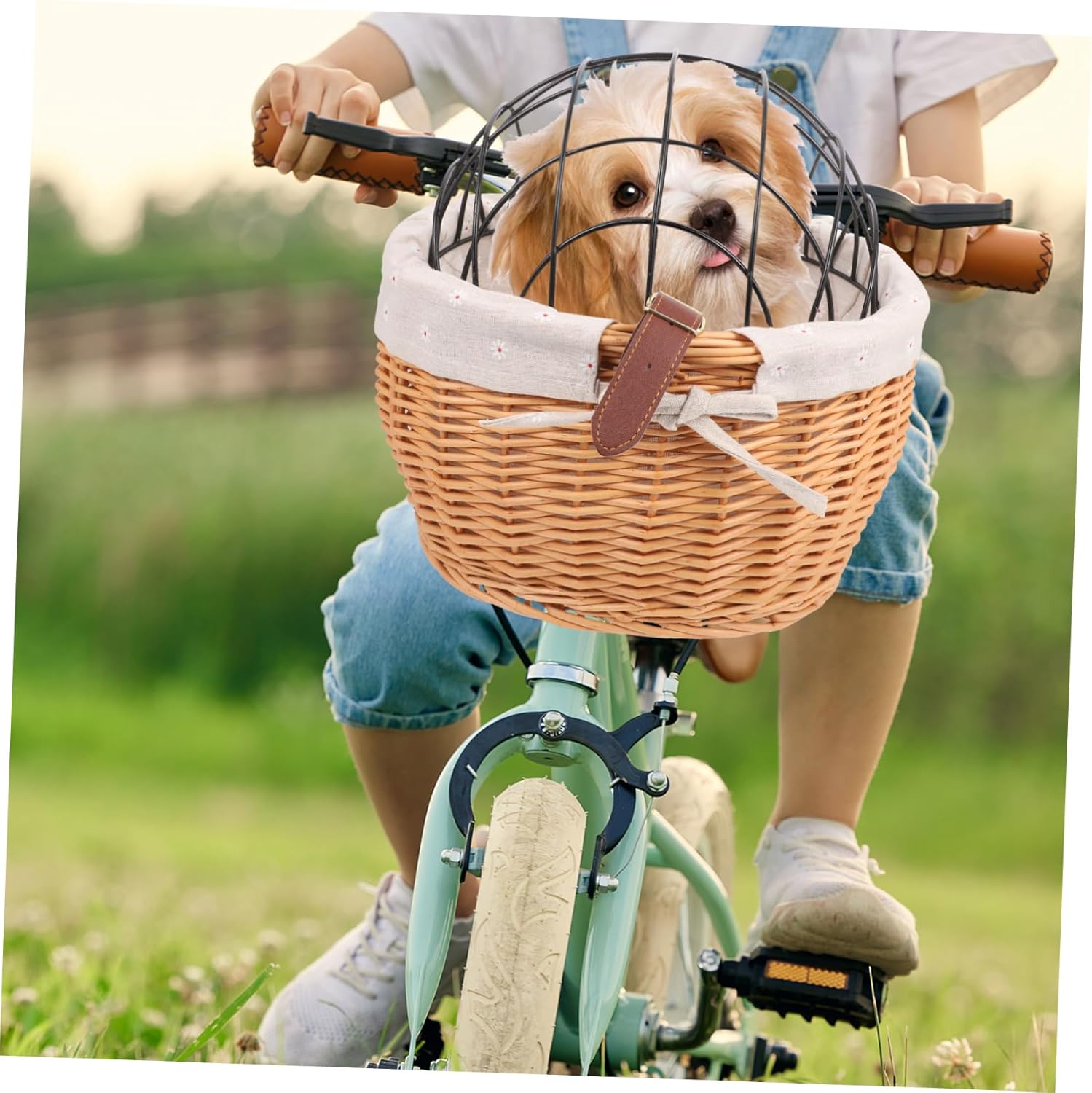 Toyvian Removable Pet Carrier Bag with Sturdy Iron Frame for Bike Front Carrier Wear Resistant Material Heavy Load Capacity Safe and Comfortable Bicycle Basket for Pets and Accessories
