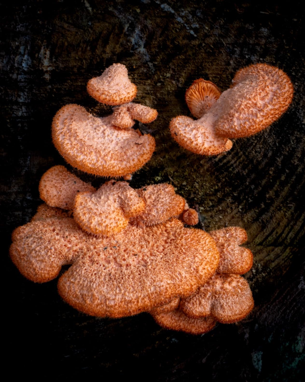 Great, right out of the box!