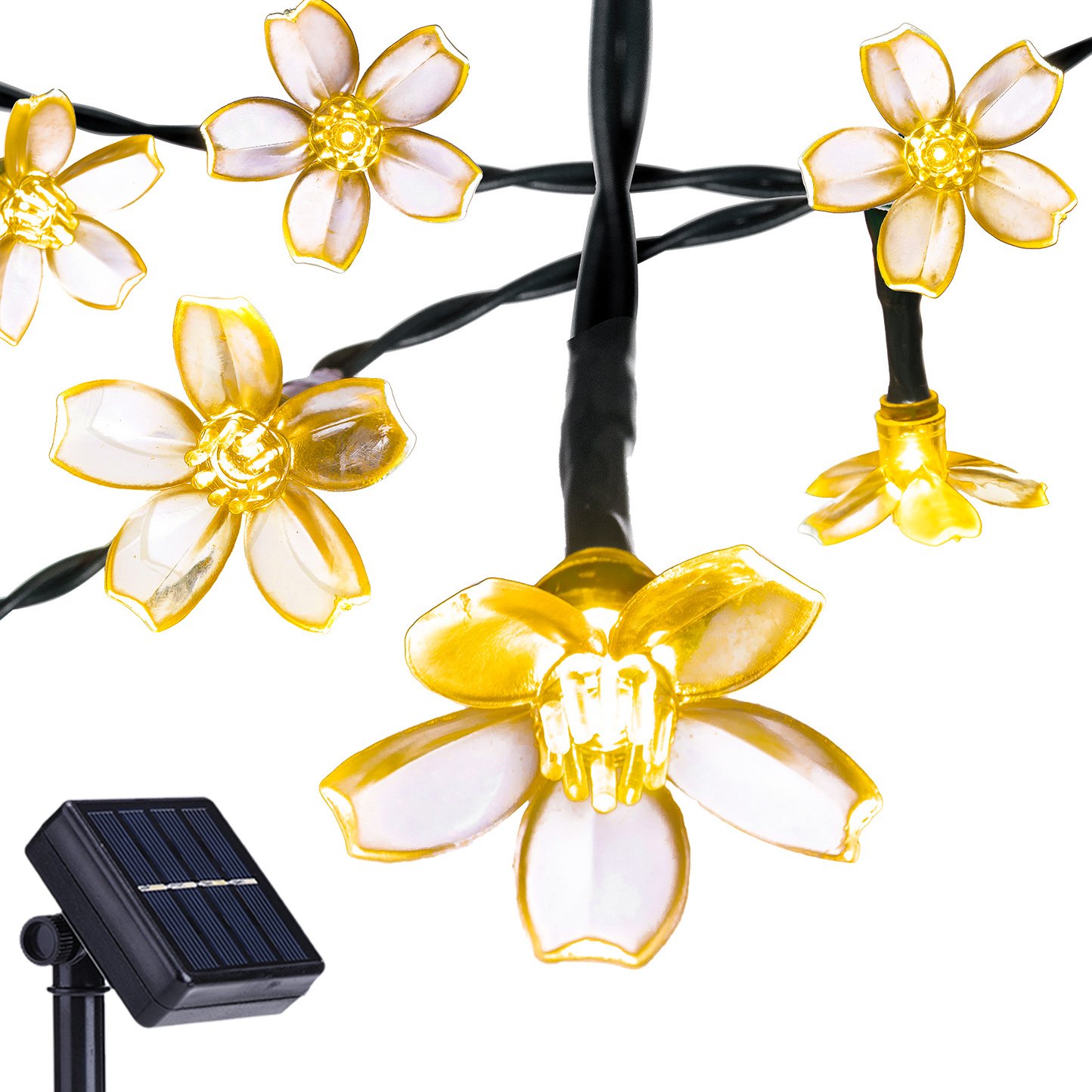 907036 String Lights, Warm White