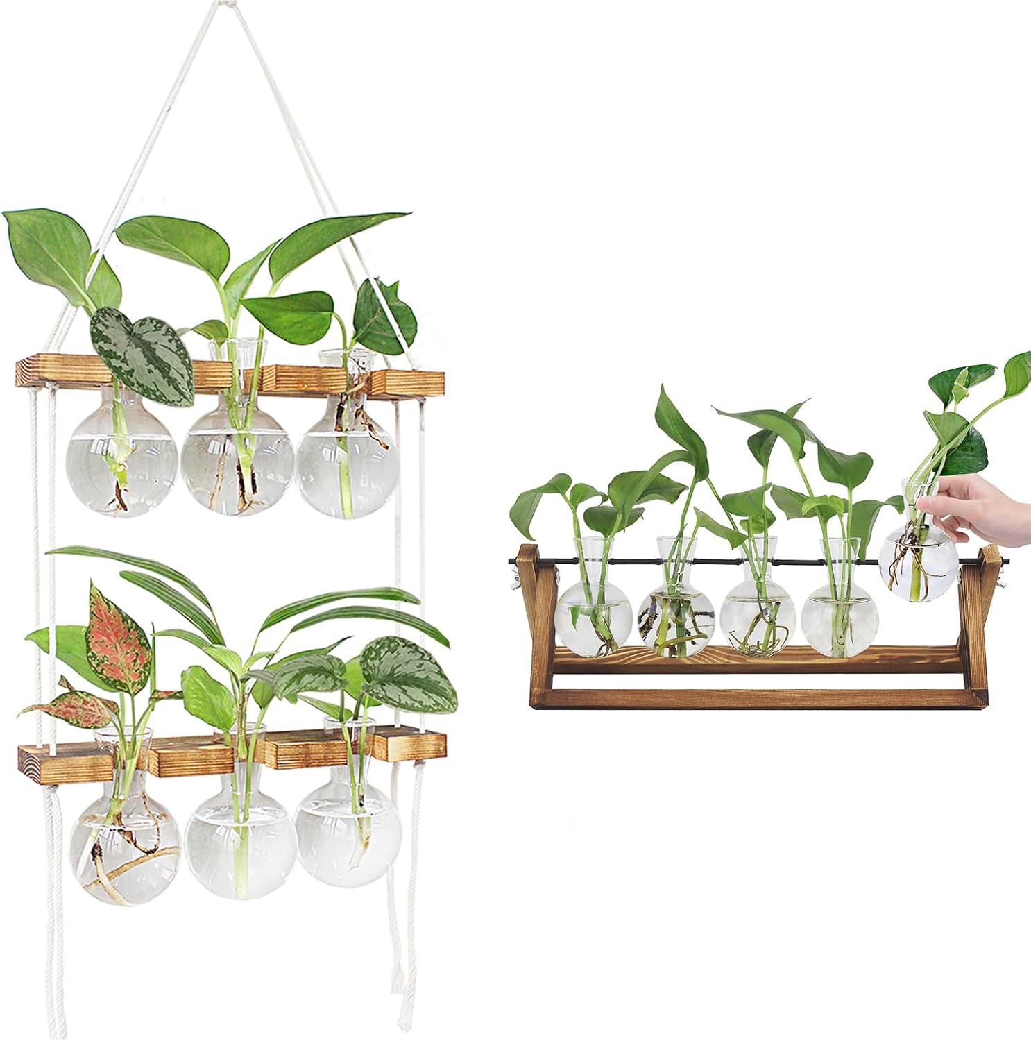 Plant Propagation Station, Home Office Garden Decor Planter (6 Bulb Vase 2 Tiered Wooden Stand +5 Bulb Vase)