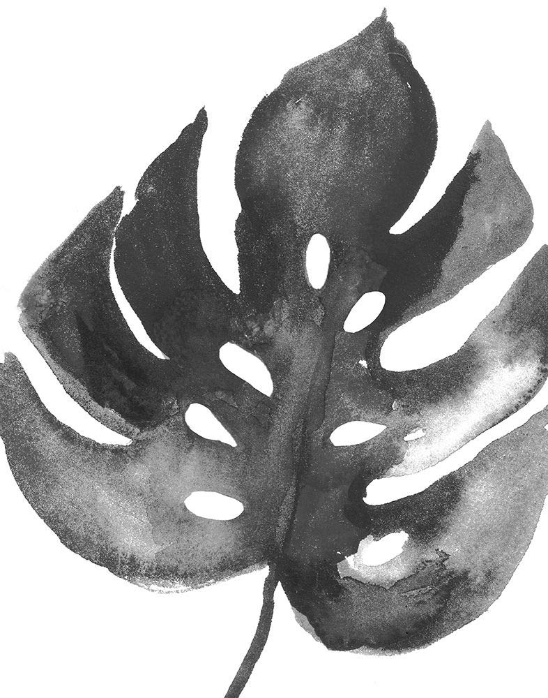 BW Palm II Póster Print by PI Studio PI Studio (24 x 36)