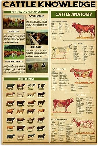 Miniatura 7 de Cartel de metal con texto en inglés «Carantulas» de «Care Knowledge», decoración de granja, piezas de taratulas, póster para el hogar, 8 x 12