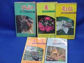 71sCIptOvML._UF350,350_QL50_.jpg